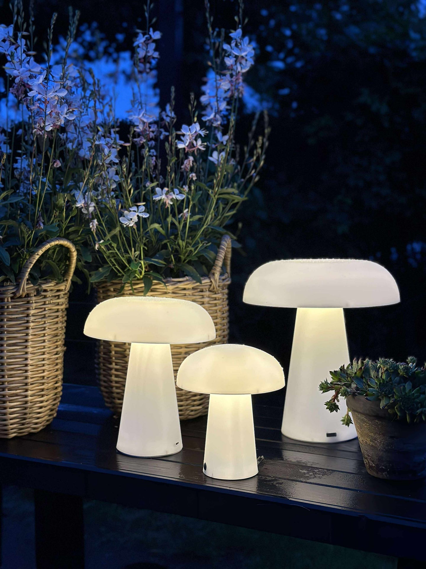 Svamp uppladdningsbar - XL