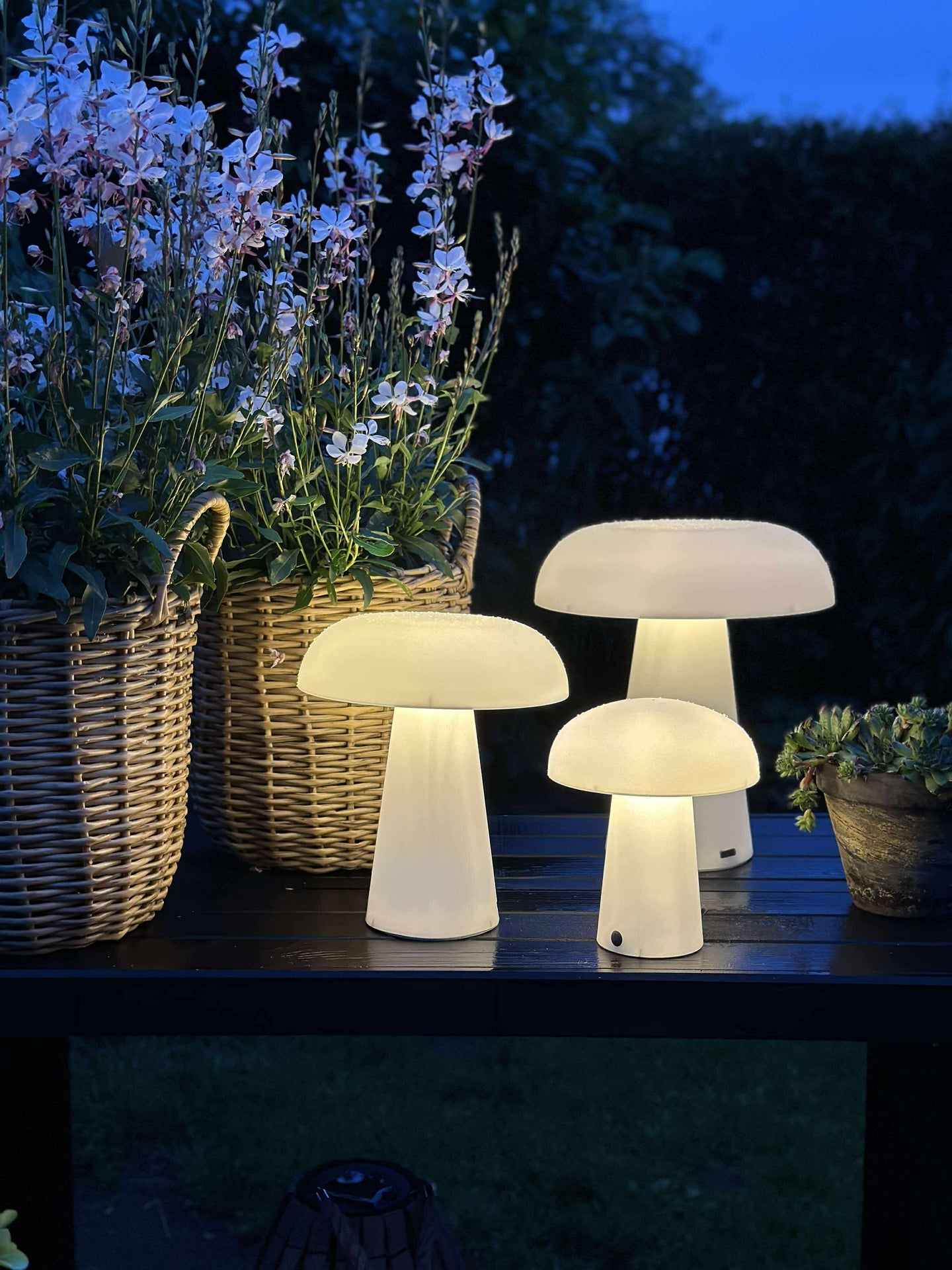 Svamp uppladdningsbar - Liten