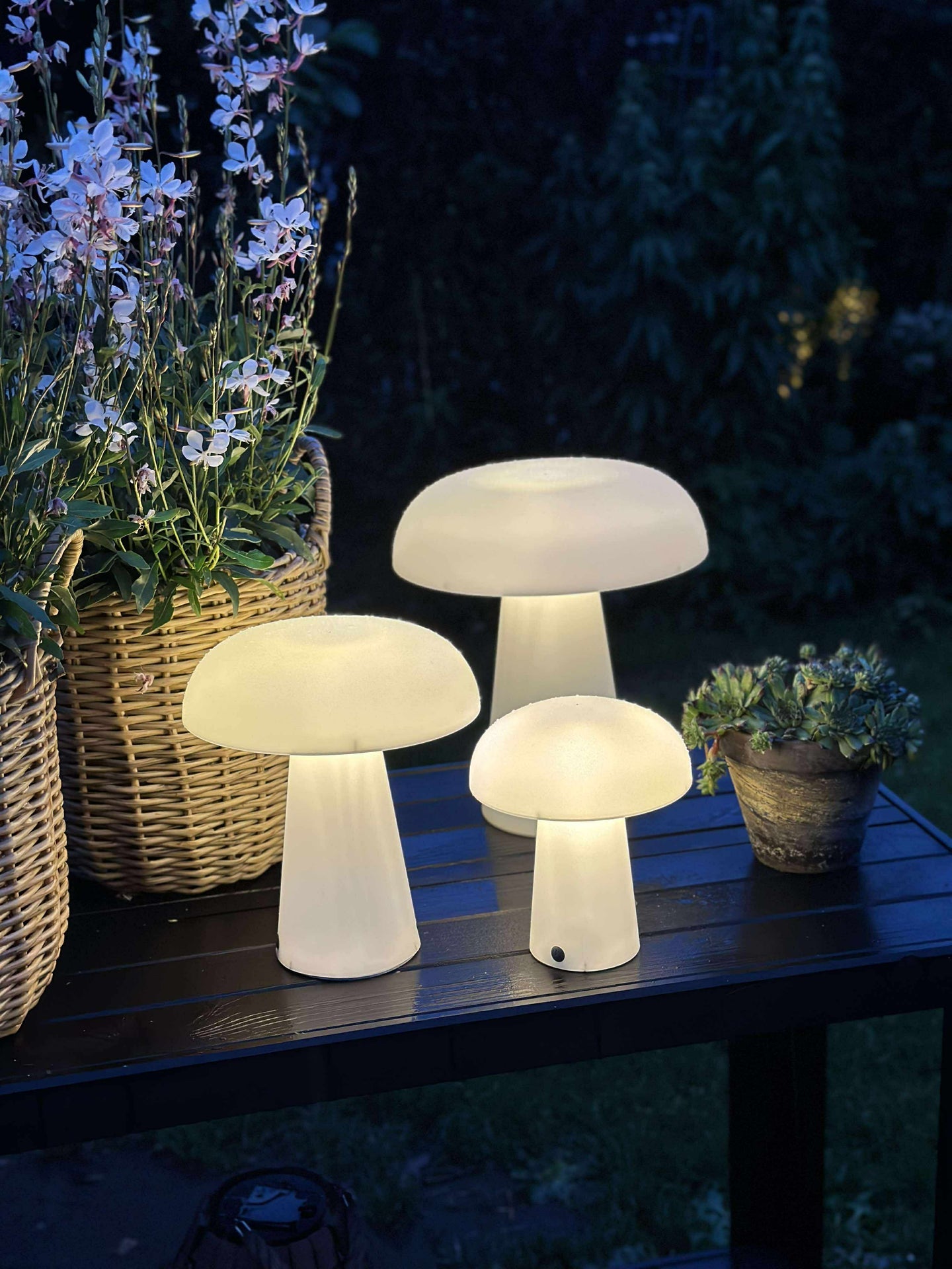 Svamp uppladdningsbar - Stor