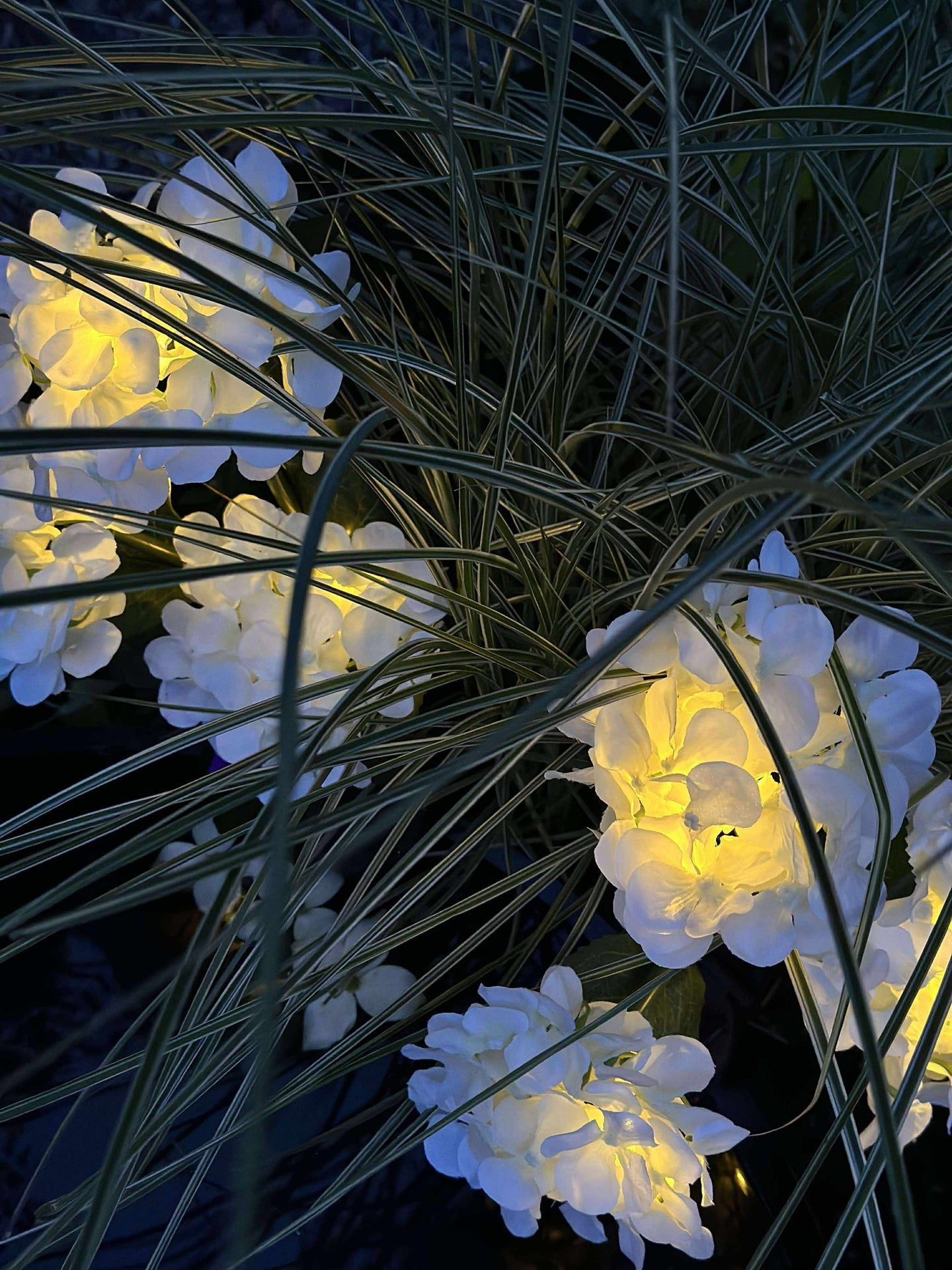 Hortensia med solceller - Vit