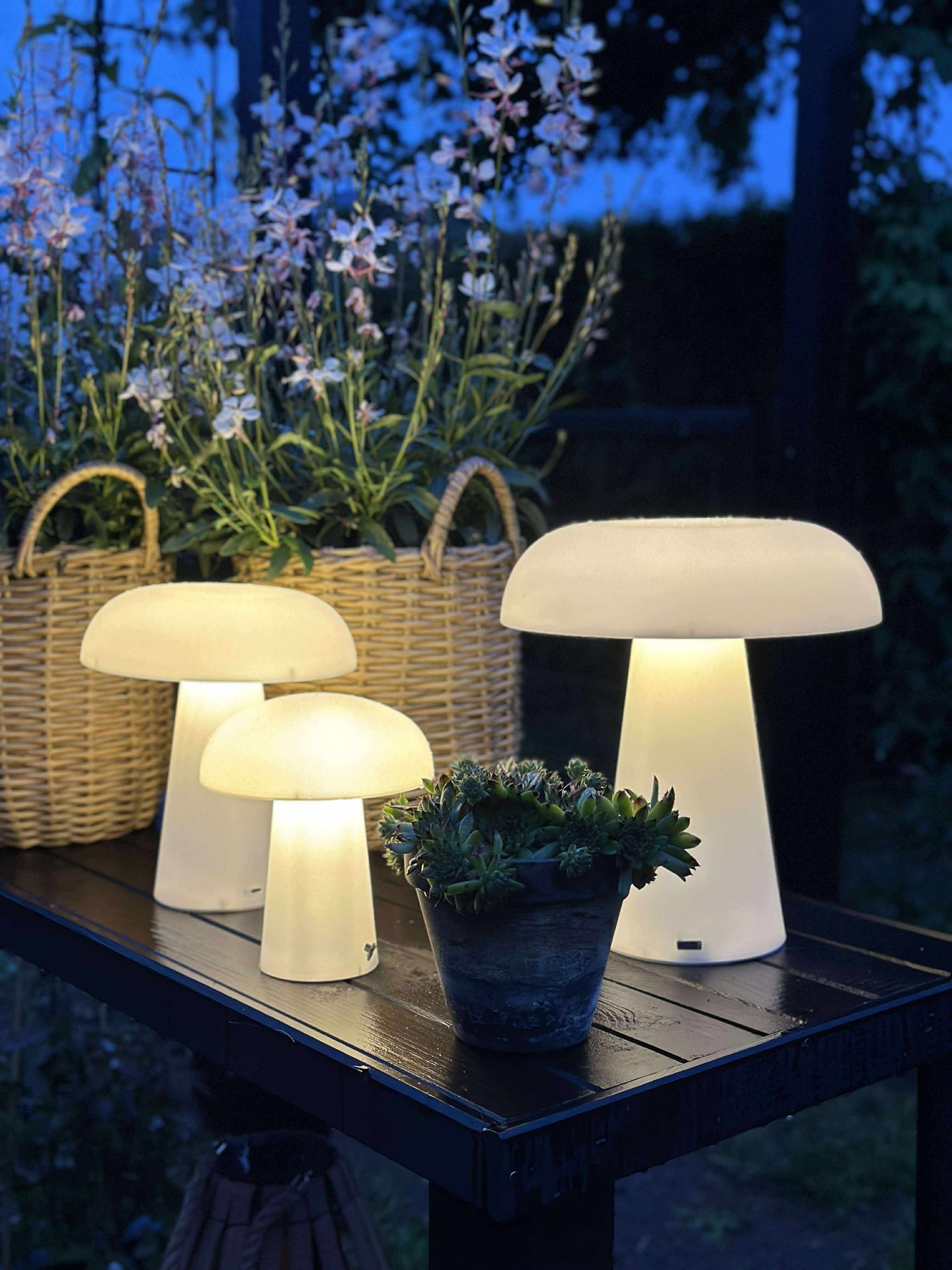 Svamp uppladdningsbar - Stor