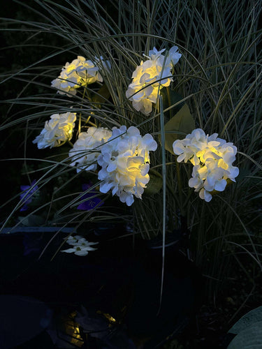 Hortensia med solceller - Vit