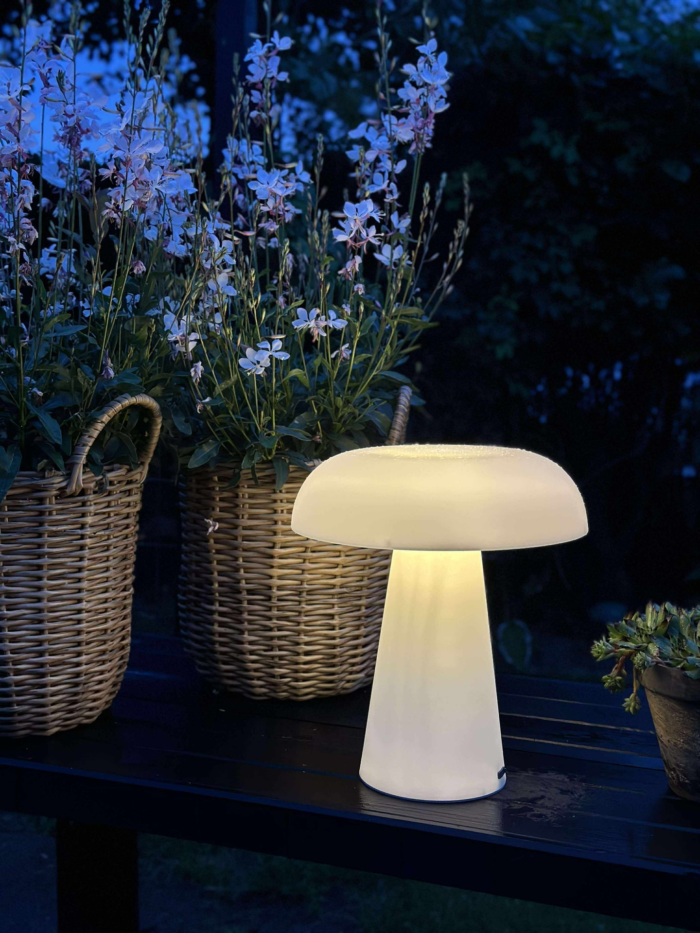 Svamp uppladdningsbar - Stor