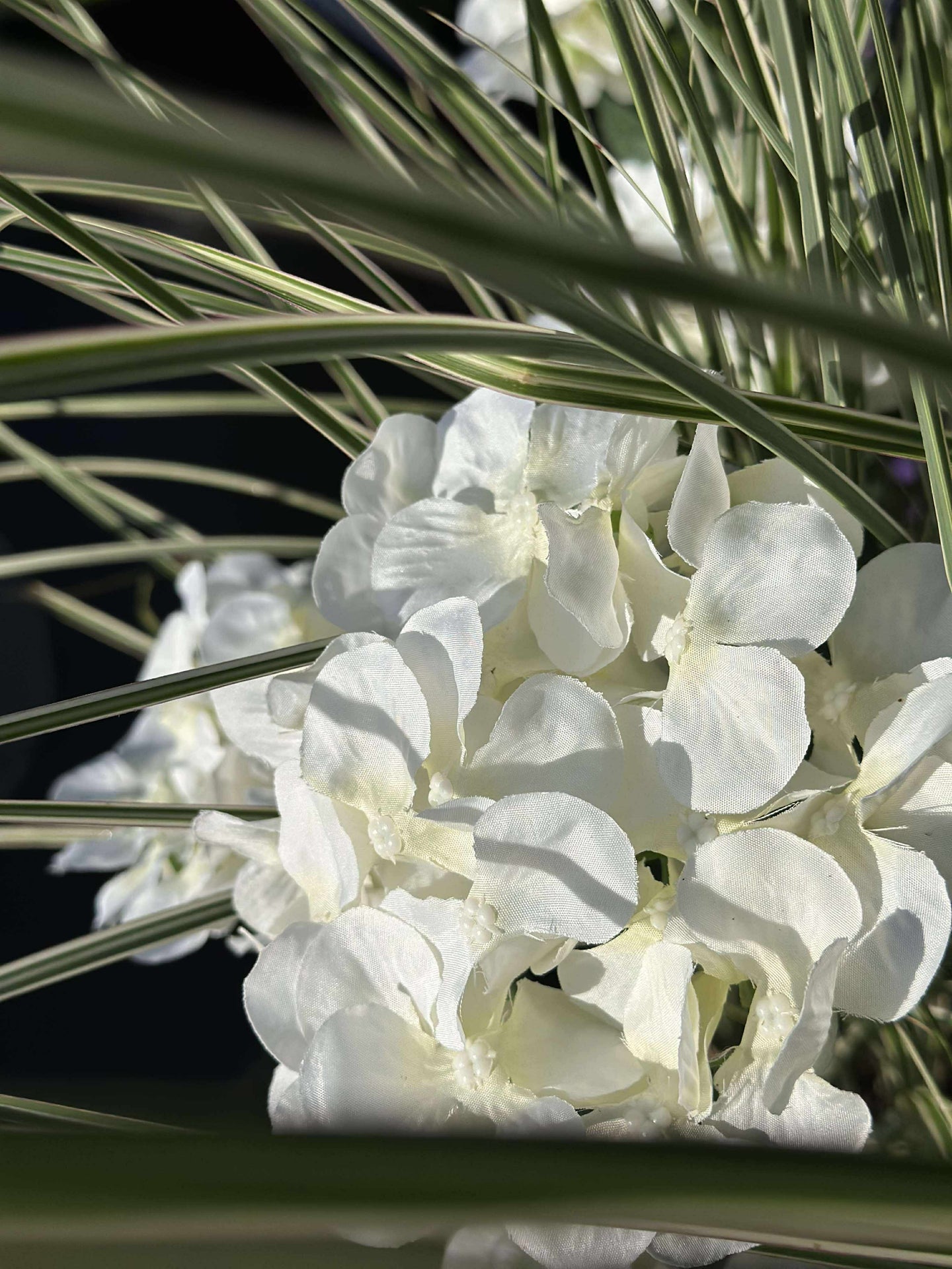 Hortensia med solceller - Vit