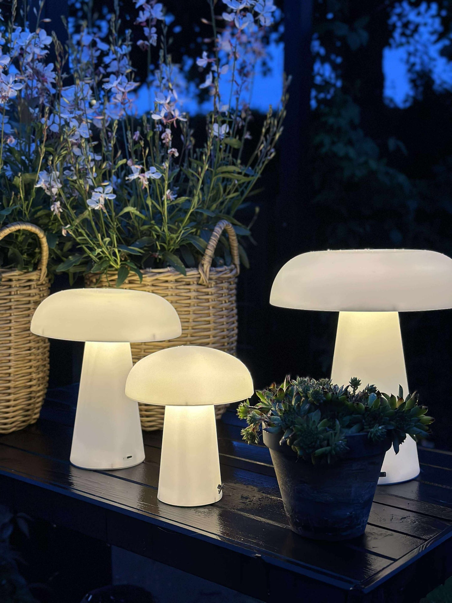 Svamp uppladdningsbar - Liten