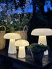 Mushroom uppladdningsbar - Small