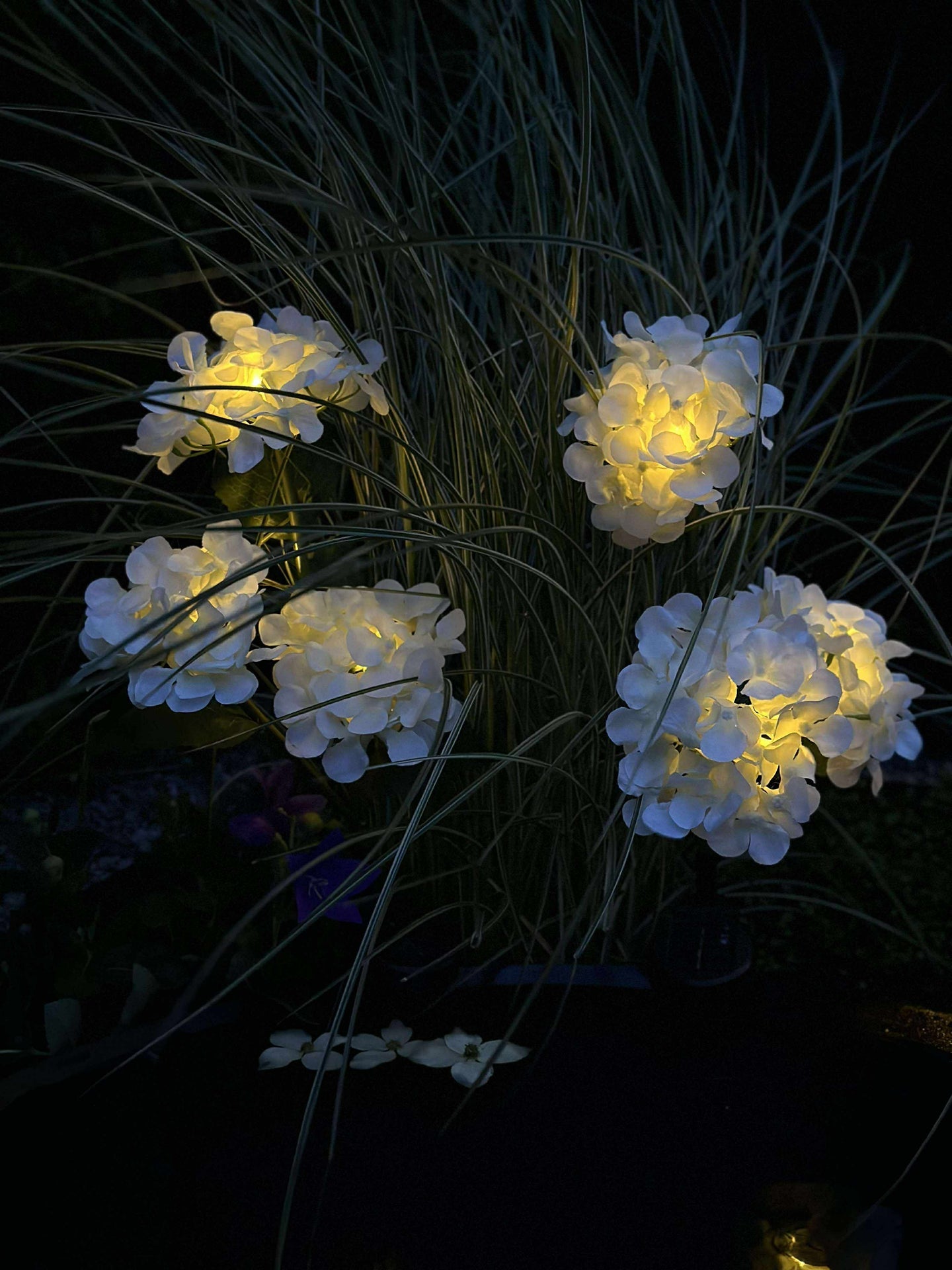 Hortensia med solceller - Vit