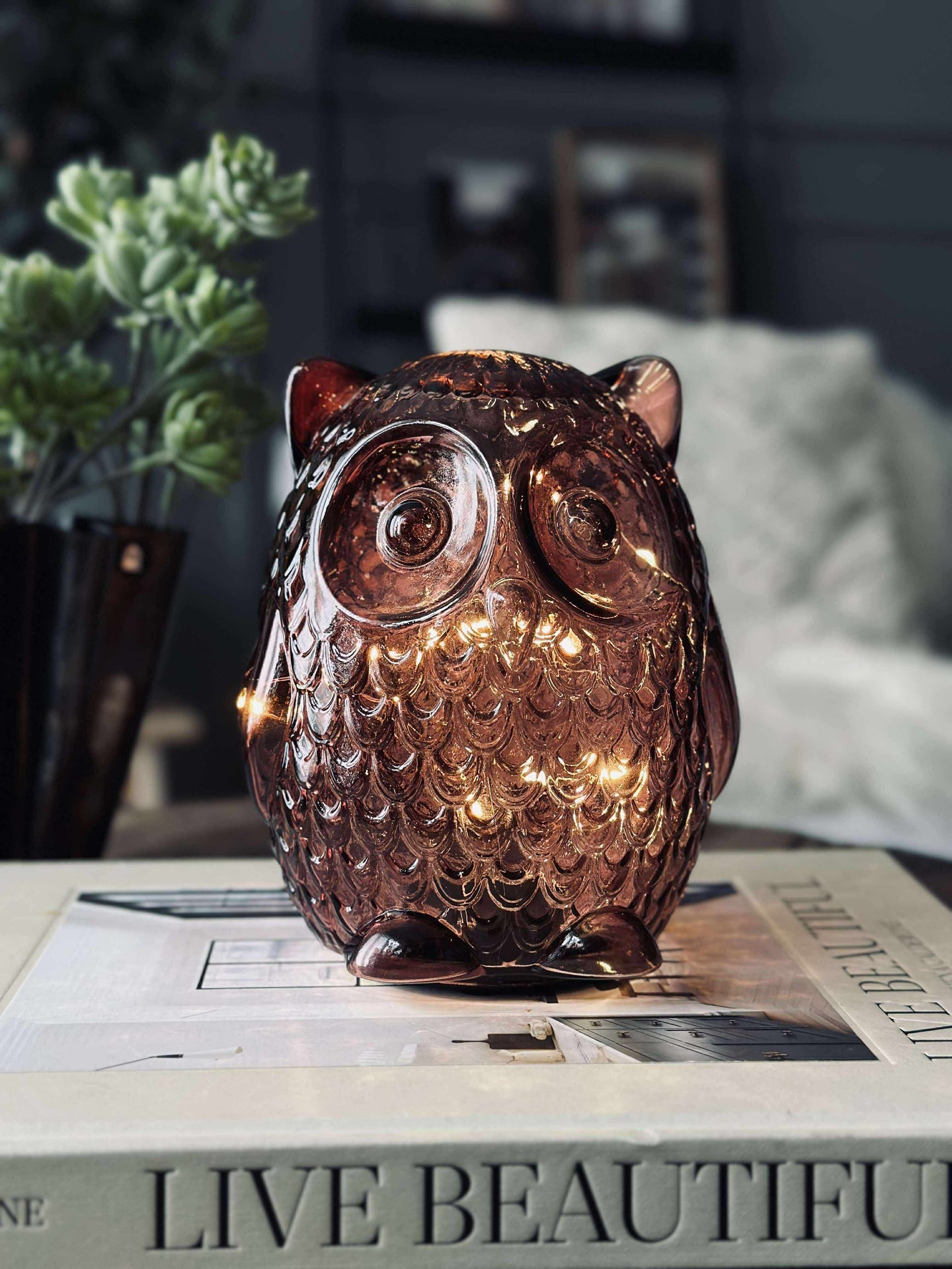 Uggla med LED-ljus och timer - Large