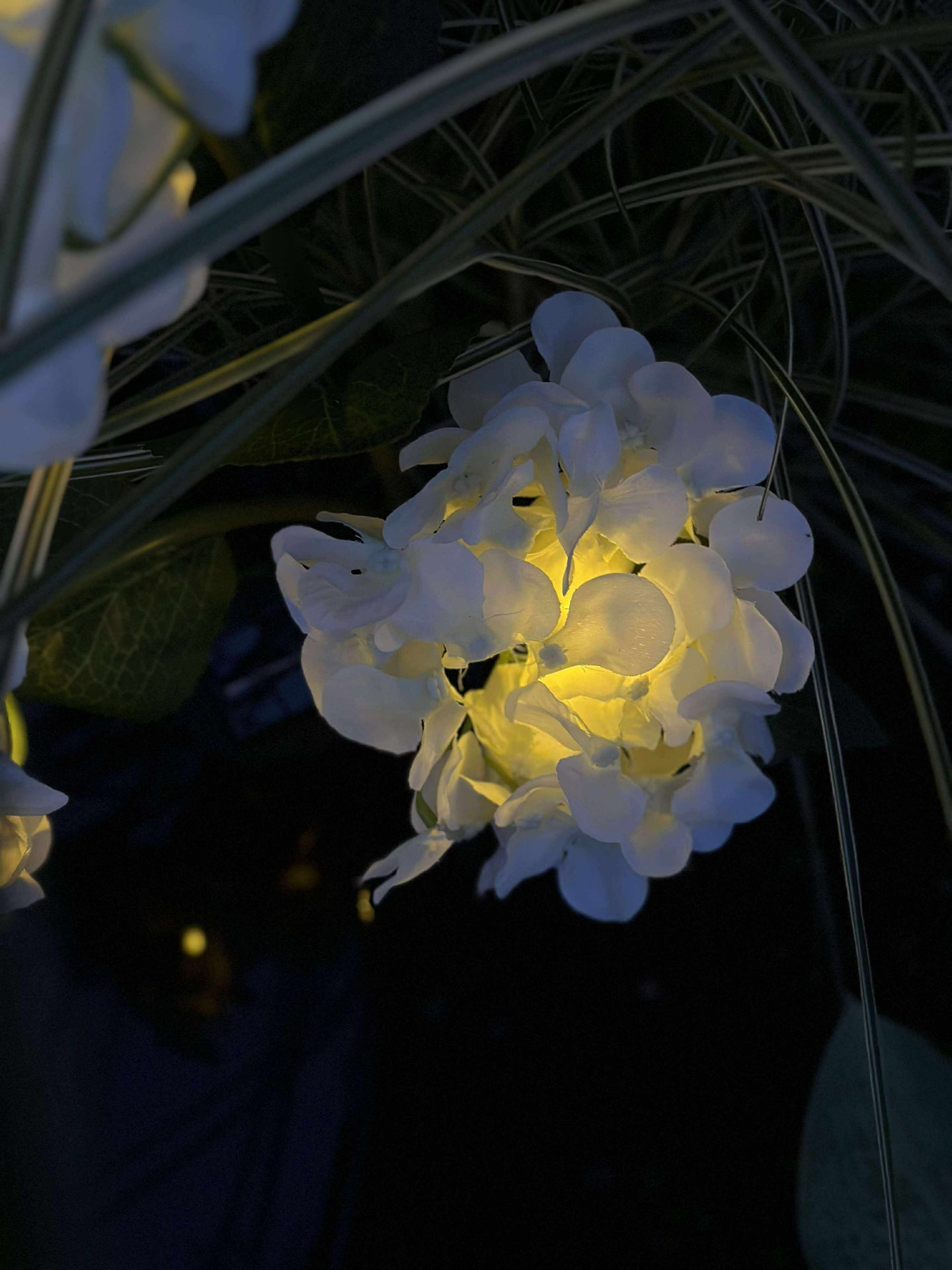 Hortensia med solceller - Vit