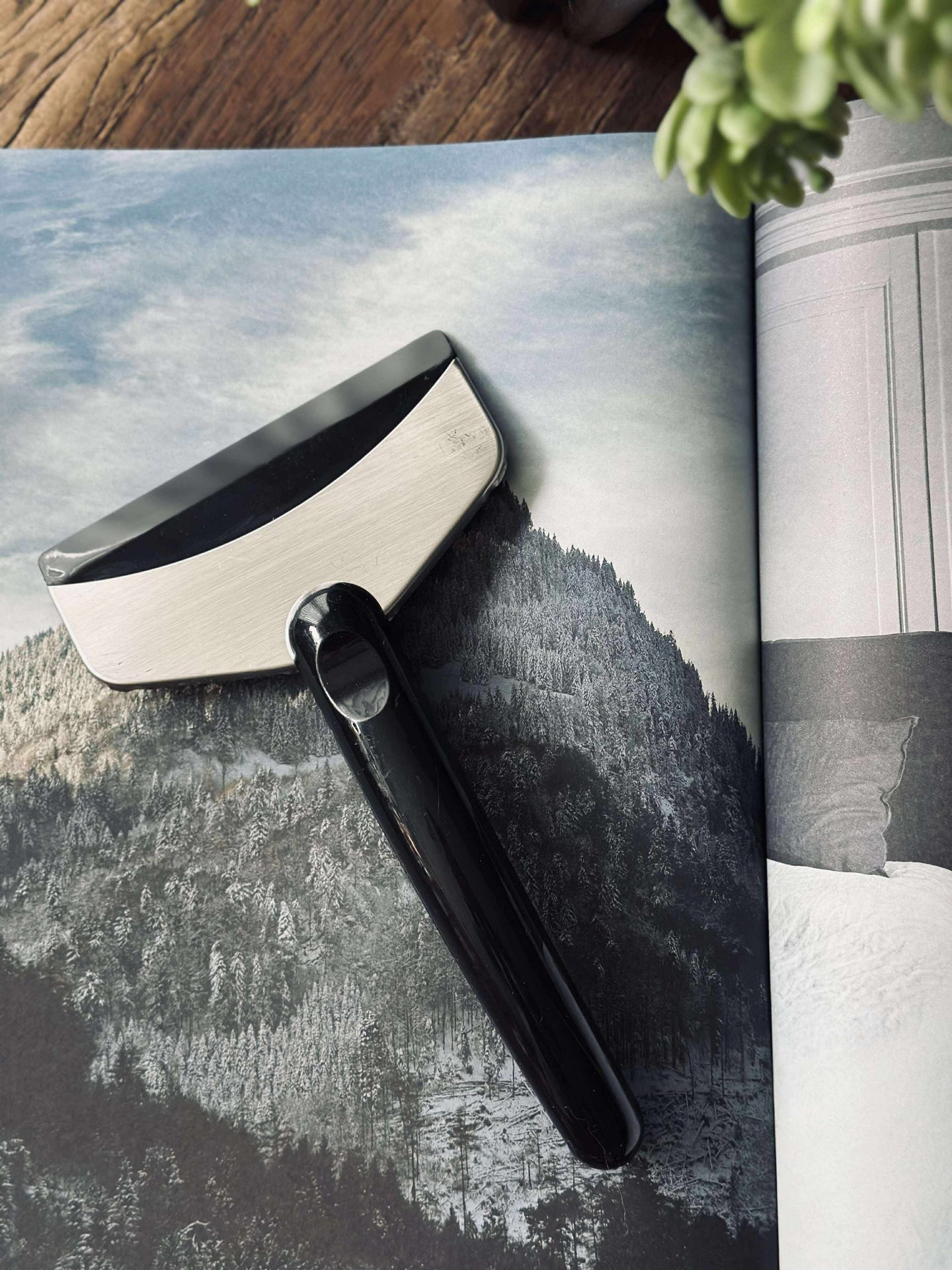 Isskrapa - Rostfritt stål/plast