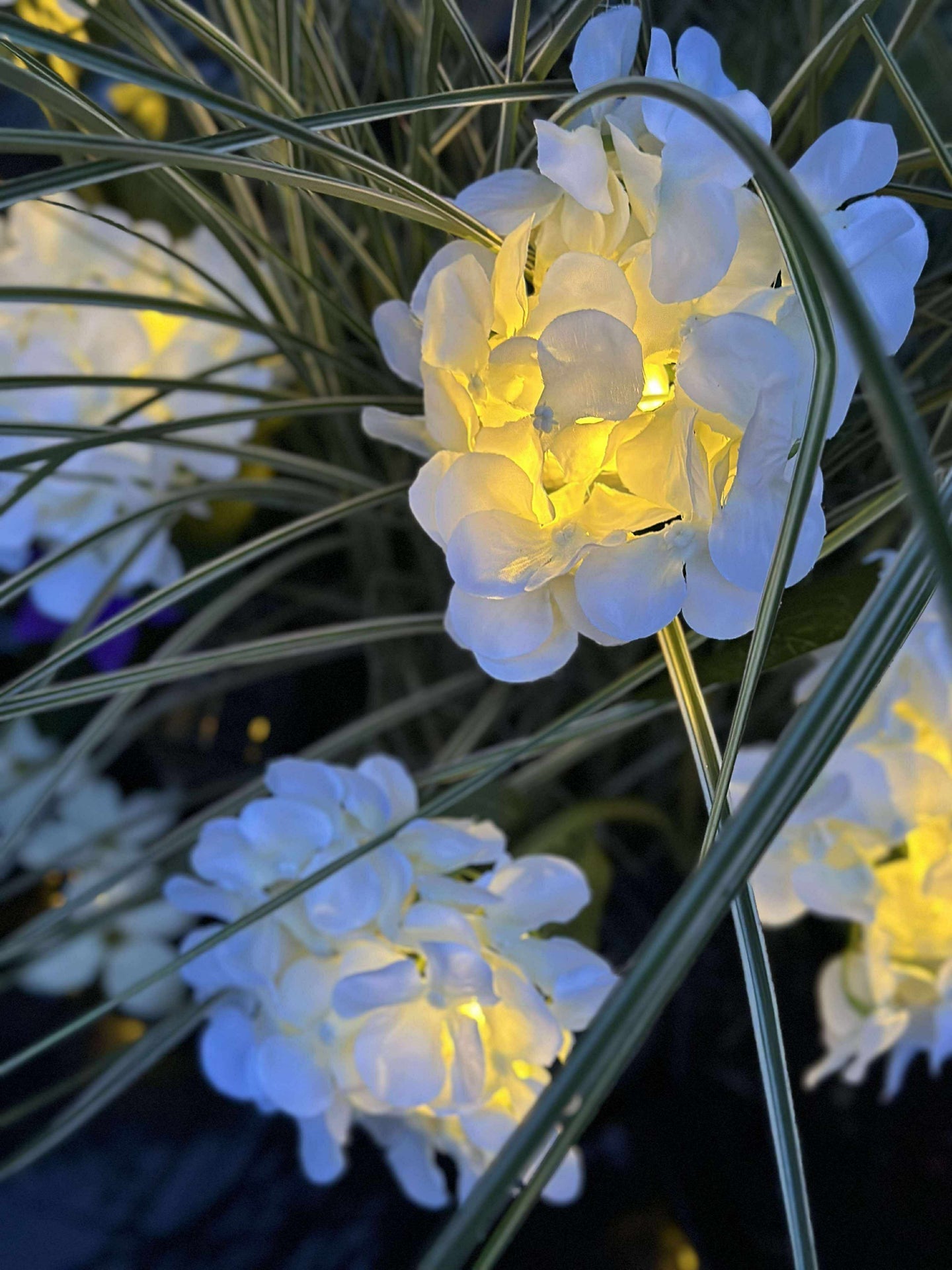 Hortensia med solceller - Vit