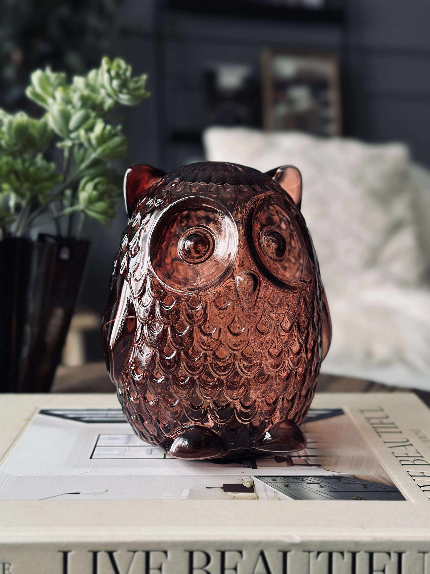 Uggla med LED-ljus och timer - Large