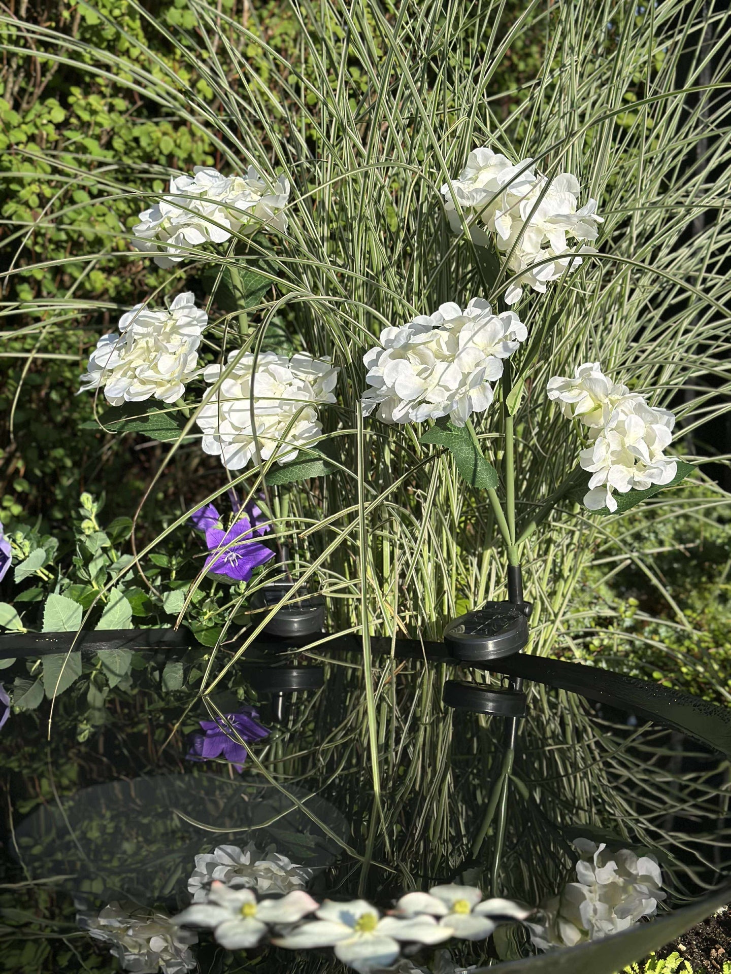 Hortensia med solceller - Vit