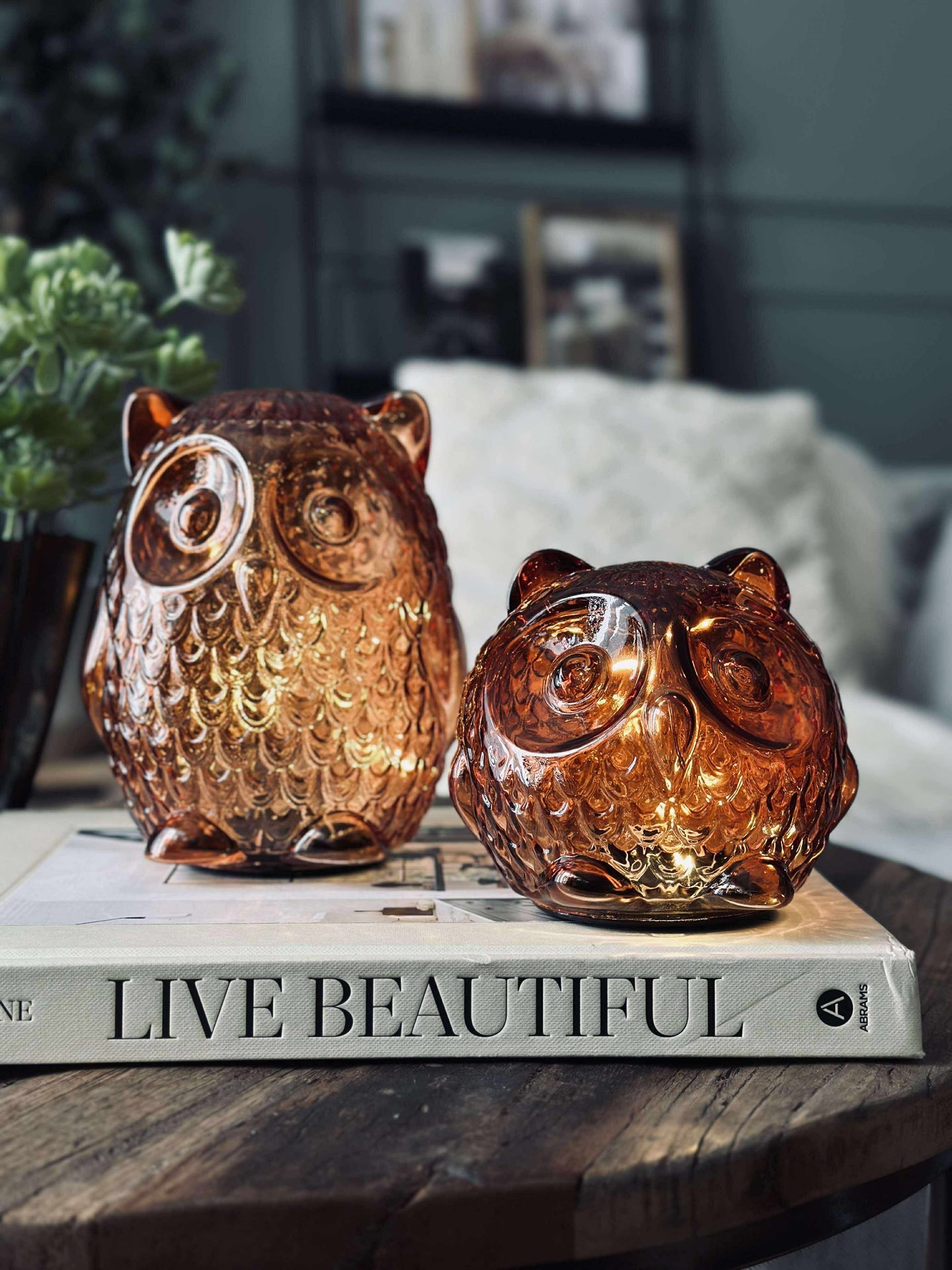 Uggla med LED-ljus och timer - Small
