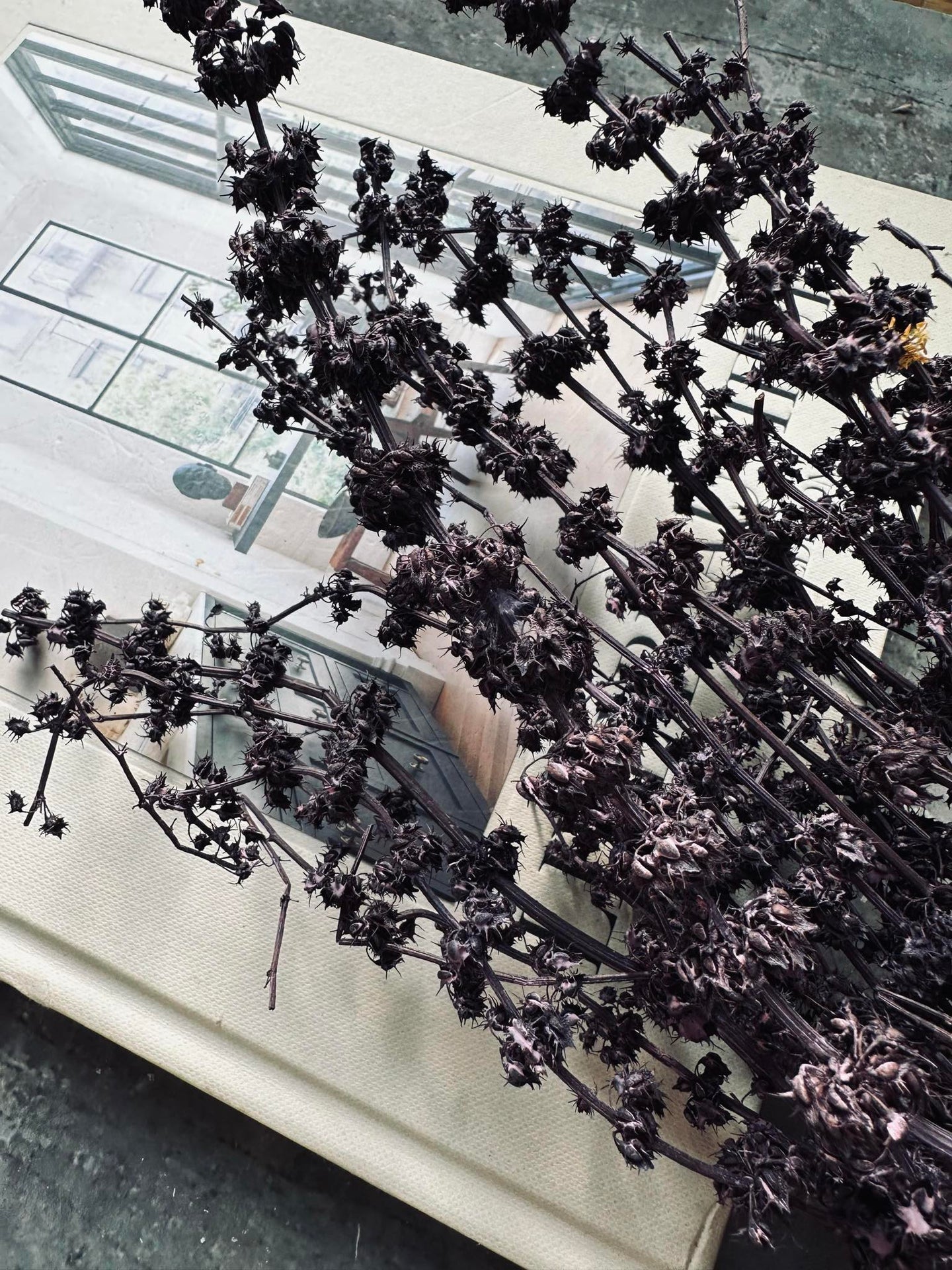 Evighetsbukett Ljung