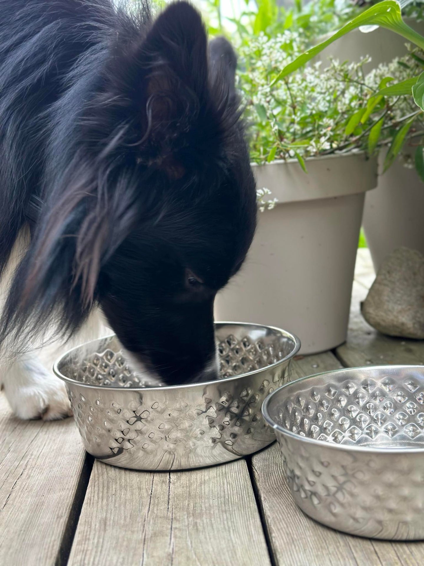Hundskål Rostfritt stål - Large
