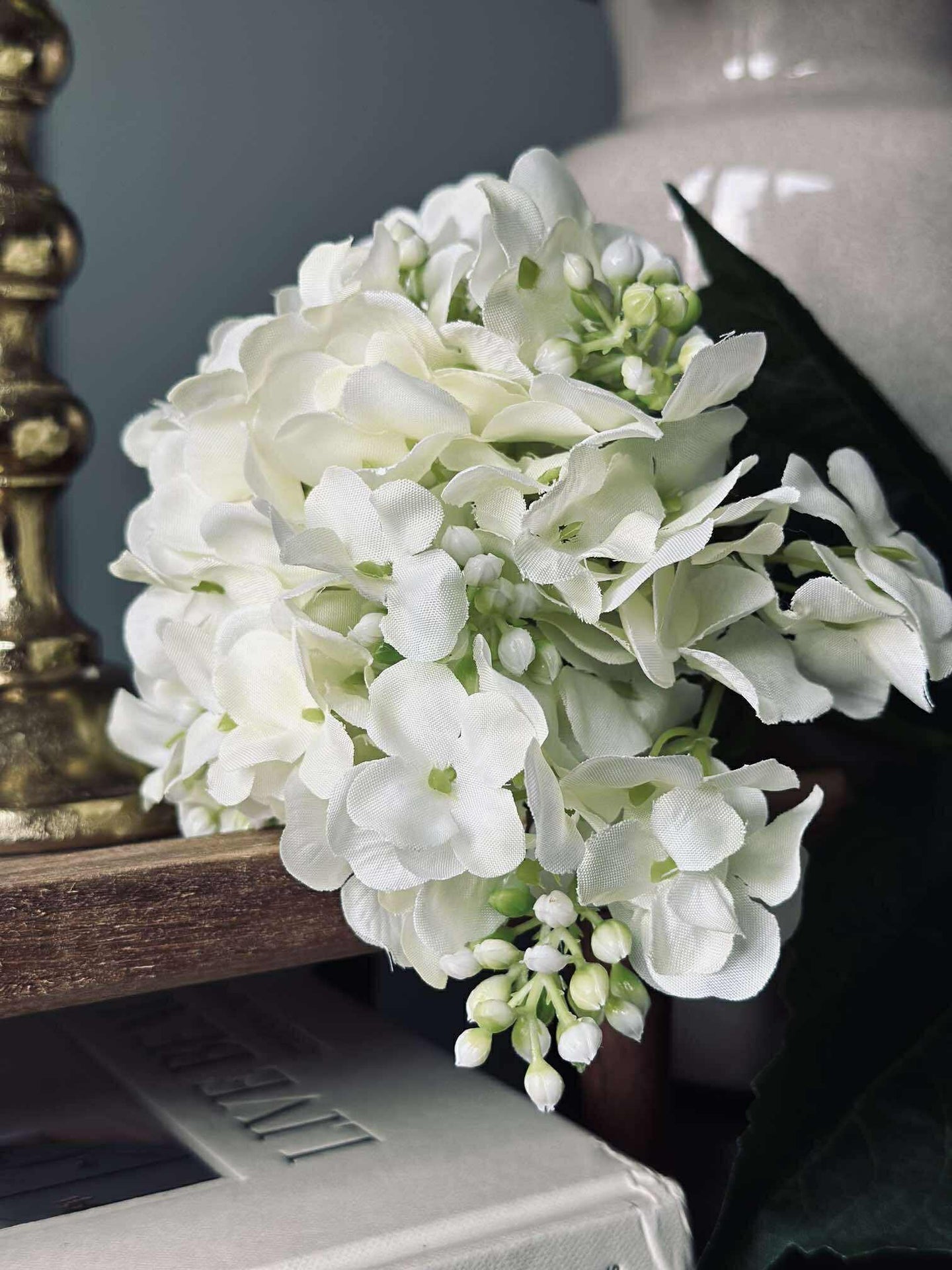 Hortensia Hvid