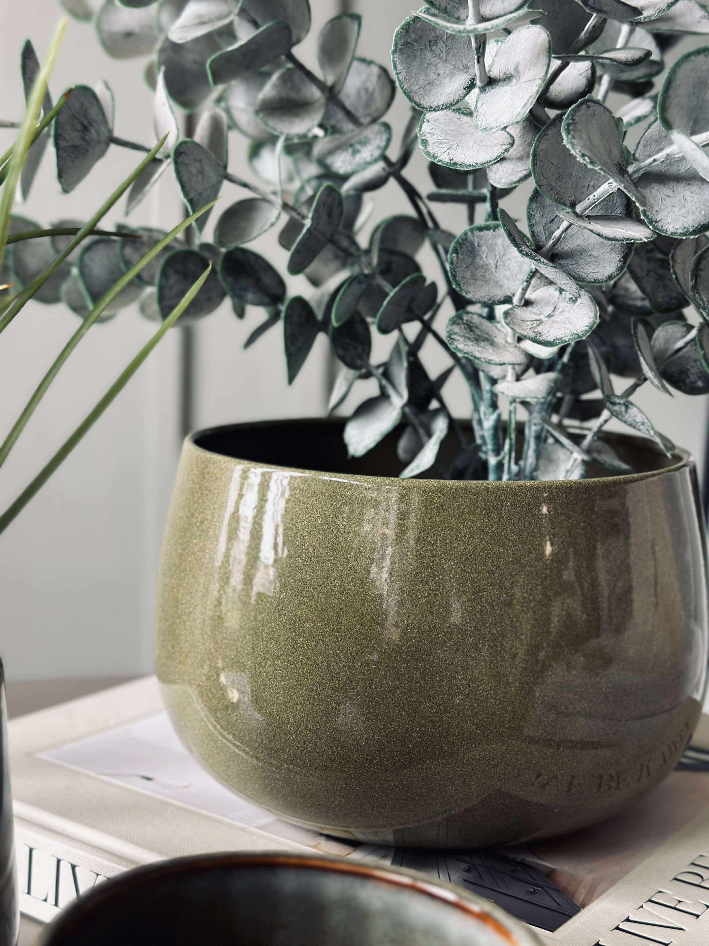 Krukväxt Grön - Flera storlekar