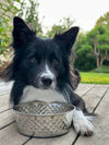 Hundskål Rostfritt stål - Large
