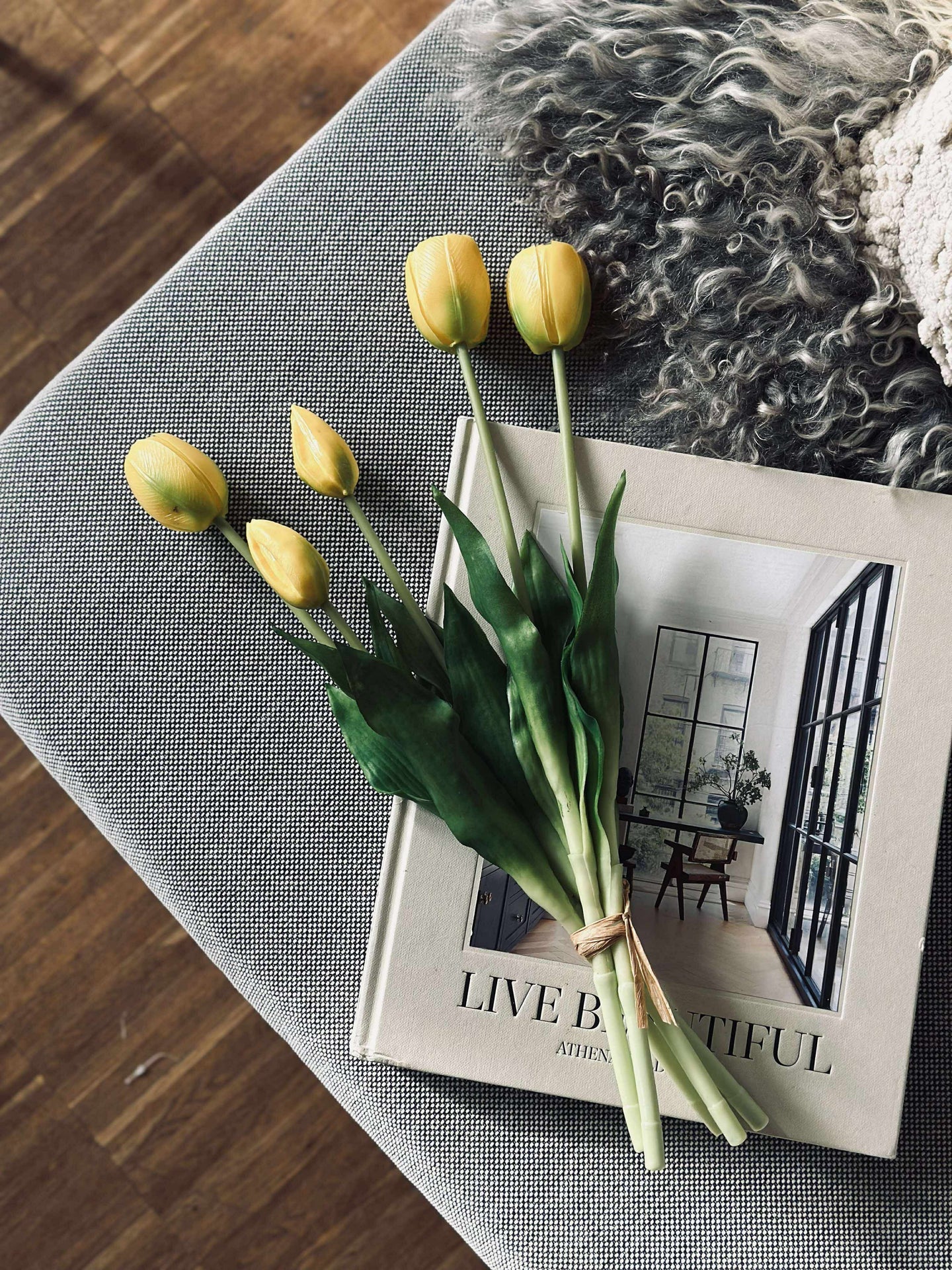 Tulpaner – Flera färger