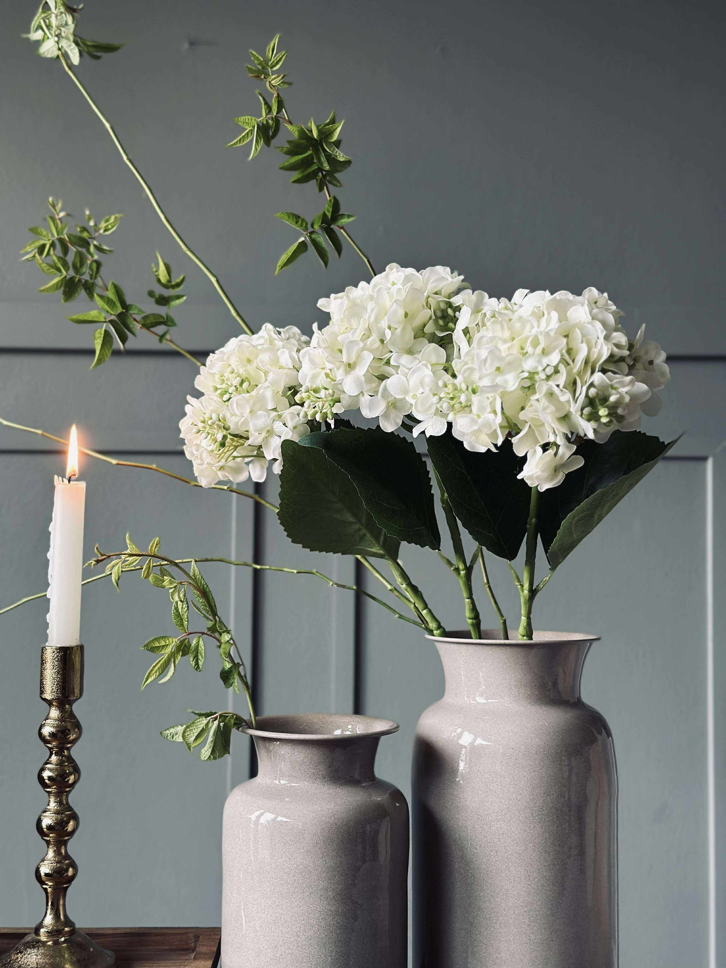 Hortensia Hvid
