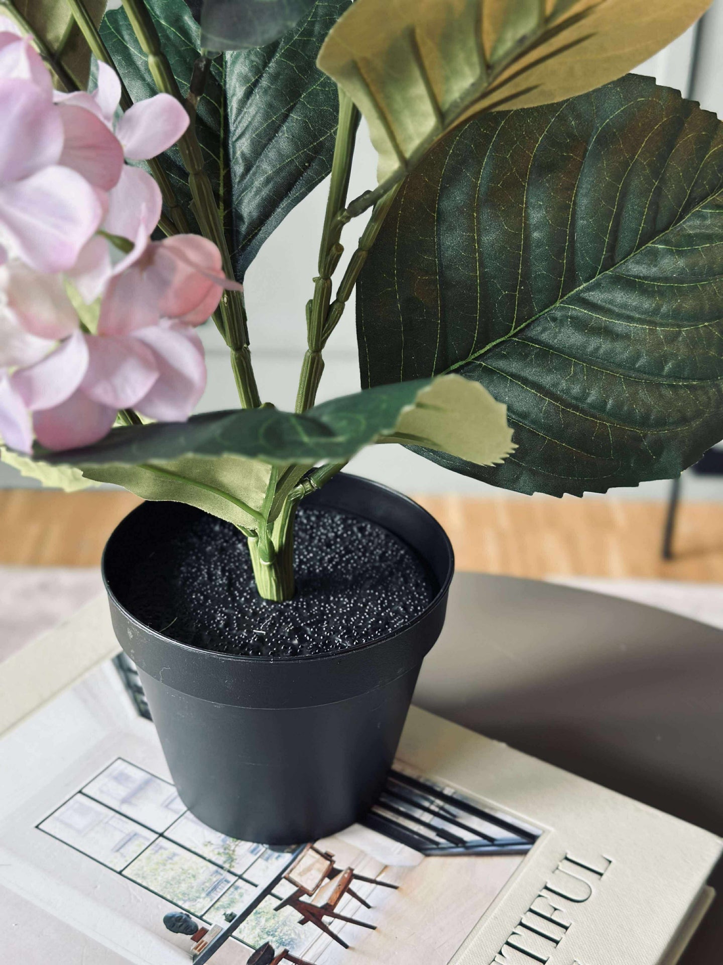 Hortensia i kruka - Syren