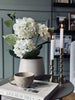 Hortensia i kruka - Vit