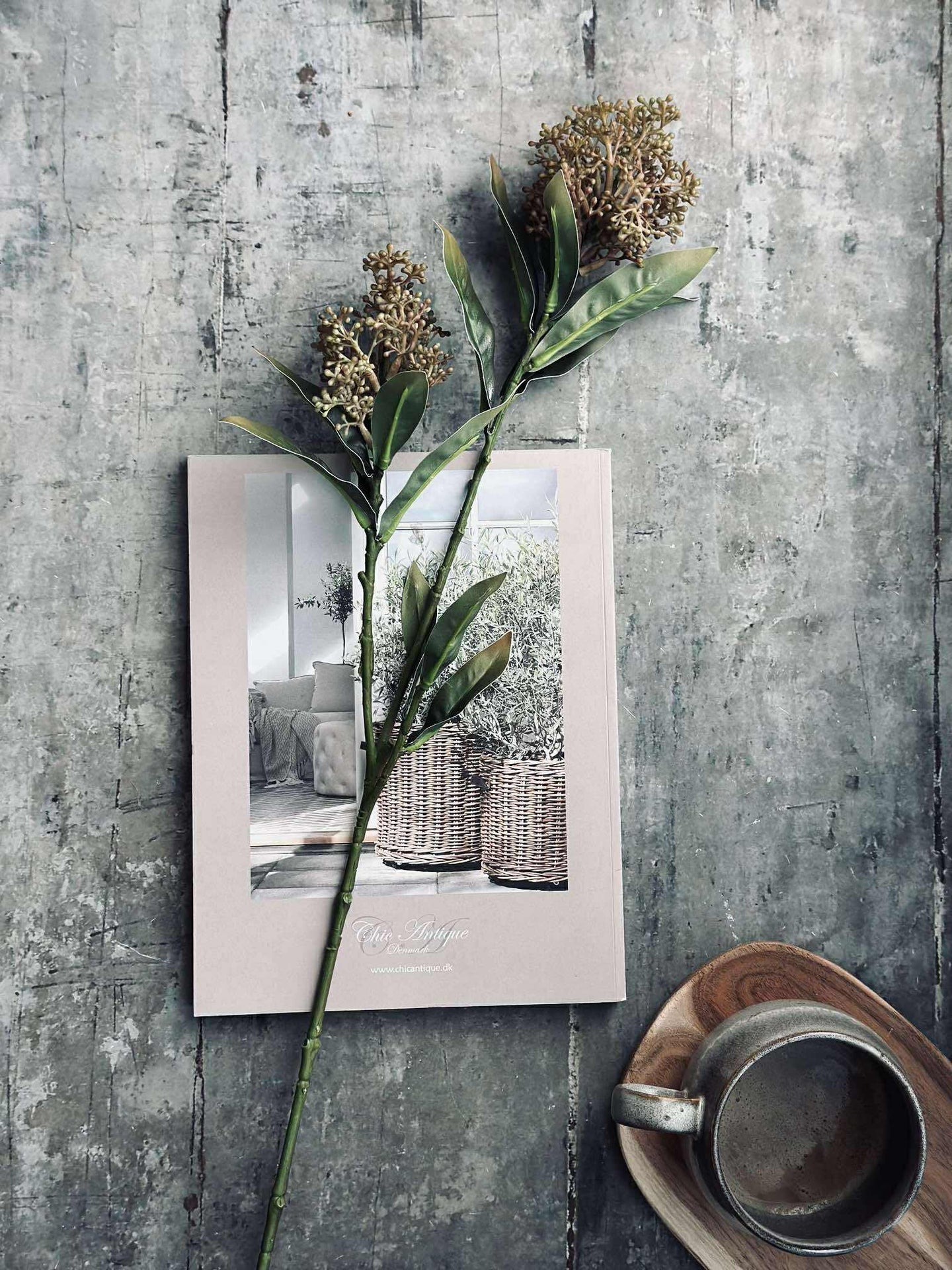 Blomstjälk -skimmia MIX