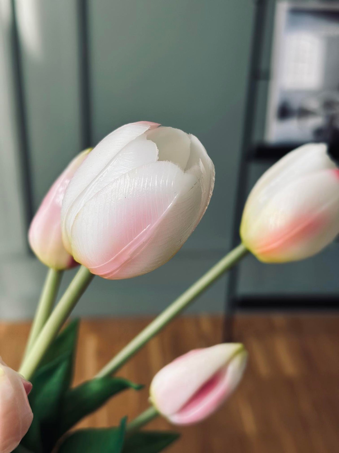 Tulpaner – Flera färger