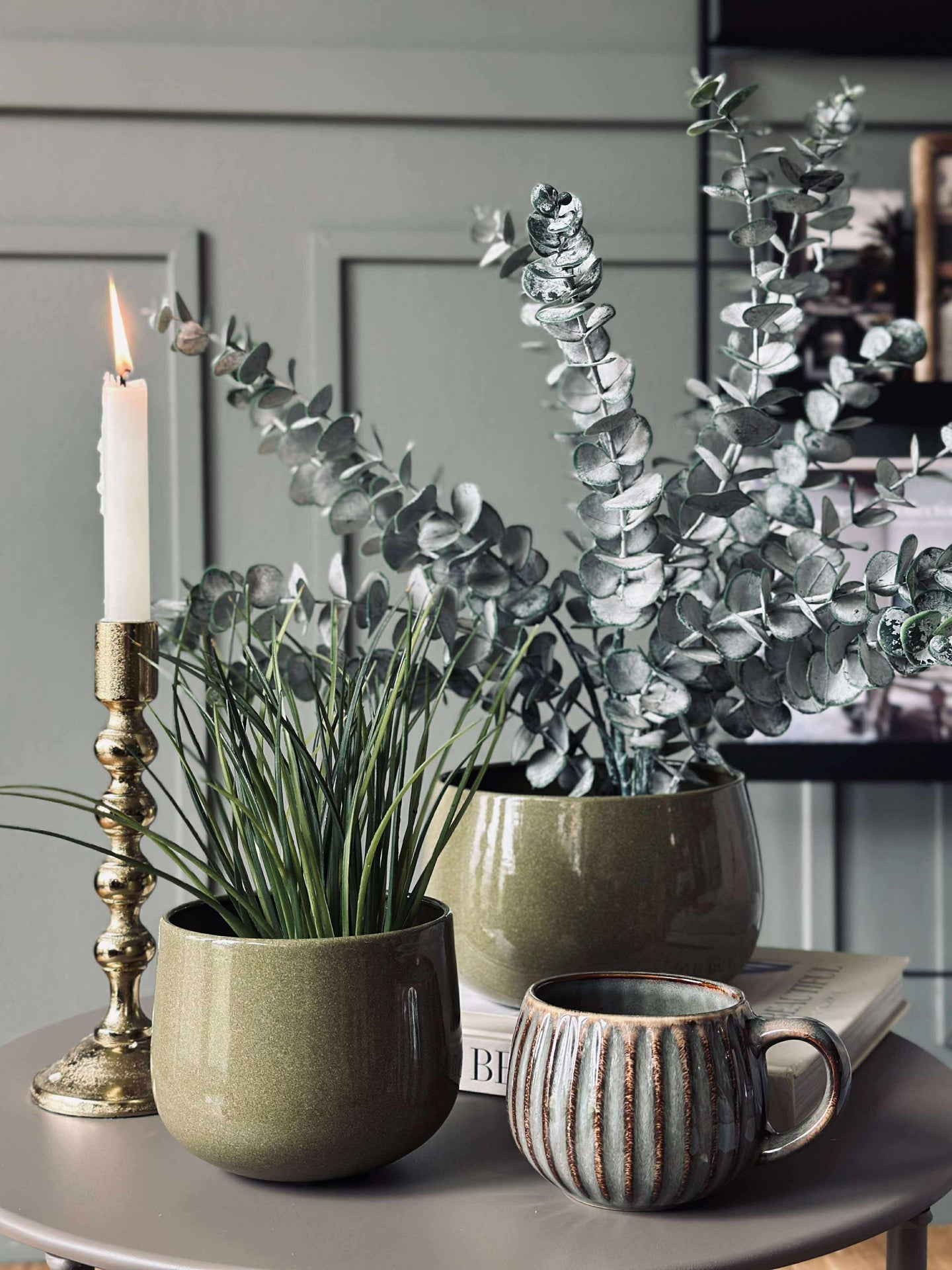 Krukväxt Grön - Flera storlekar