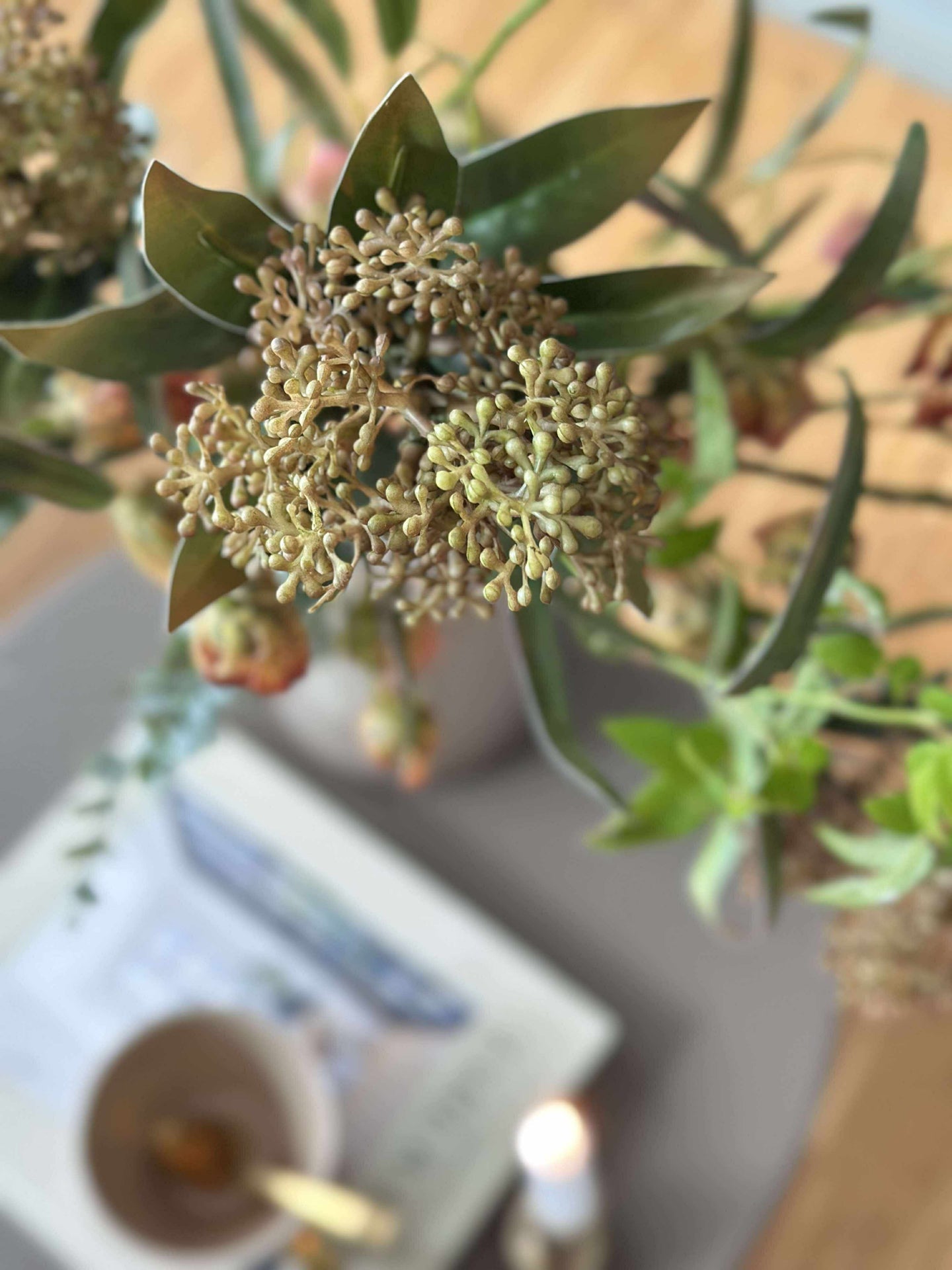 Blomstjälk -skimmia MIX