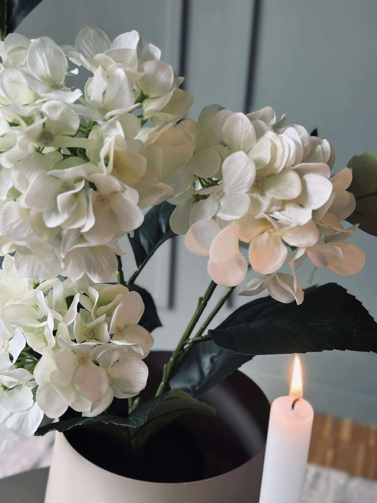 Hortensia i kruka - Vit