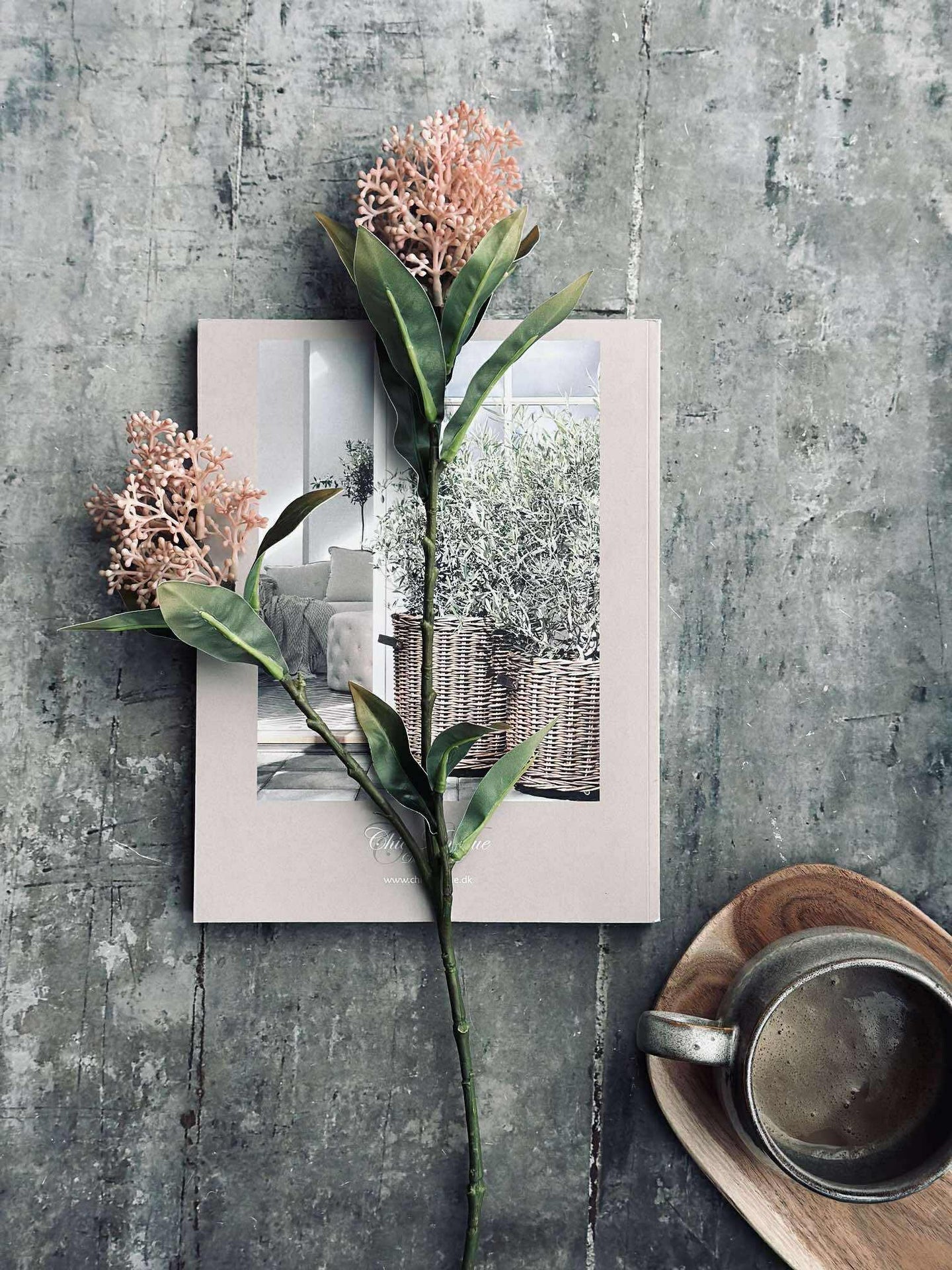 Blomstjälk -skimmia MIX