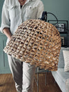 Lampa vattenhyacint - Dia 40