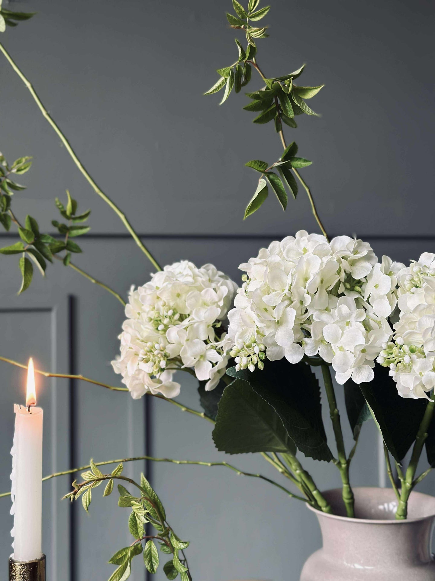 Hortensia Hvid