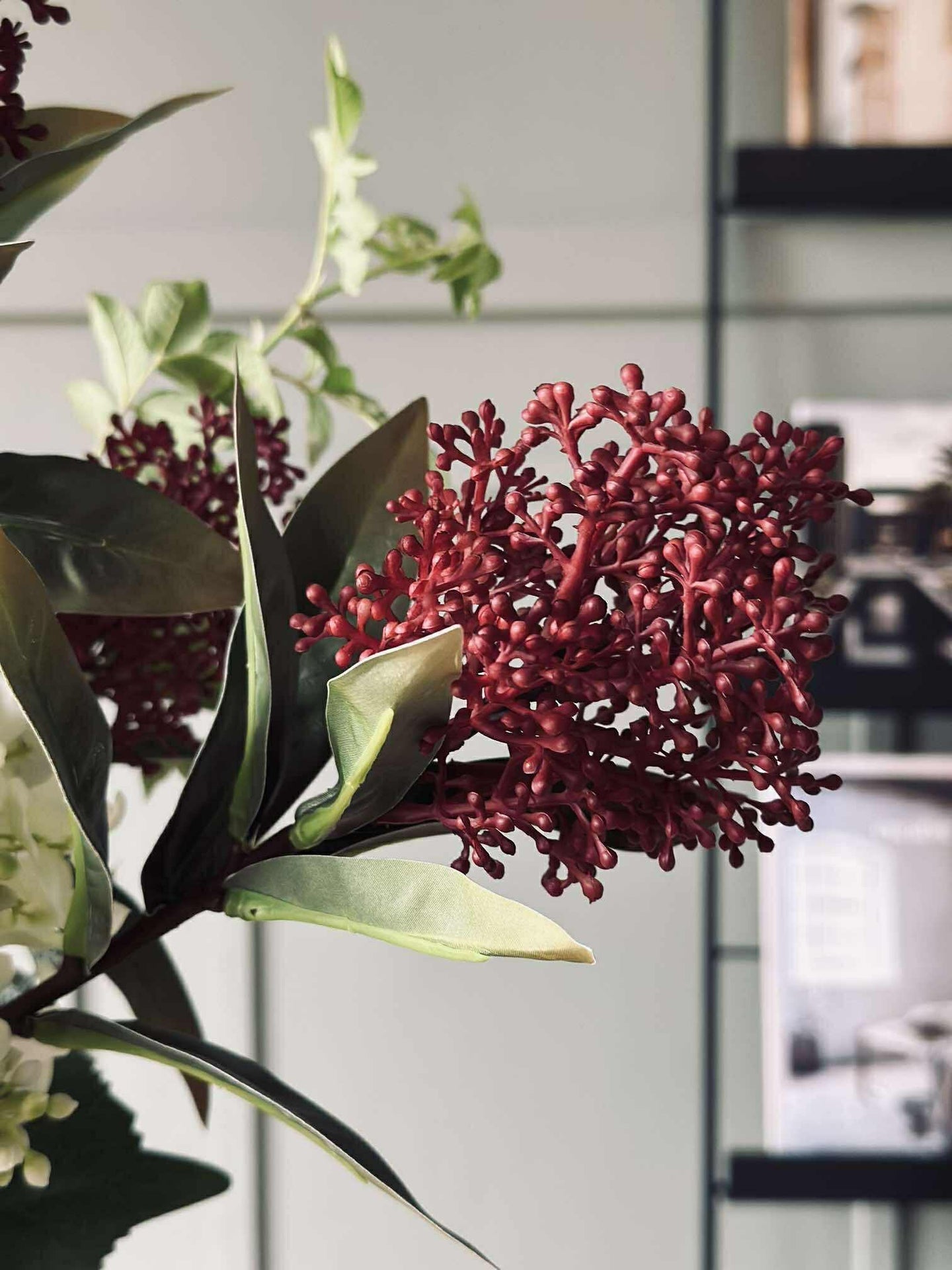 Blomstjälk -skimmia MIX