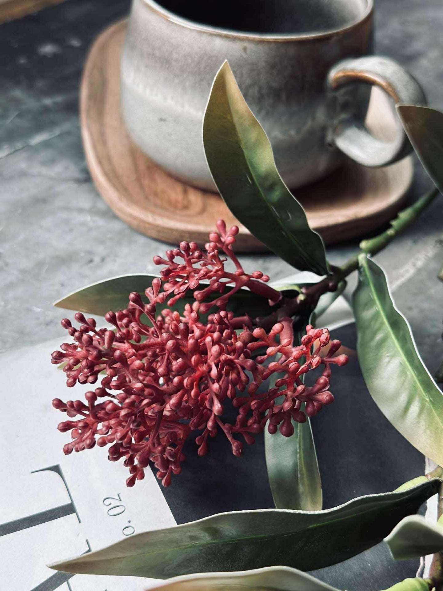 Blomstjälk -skimmia MIX