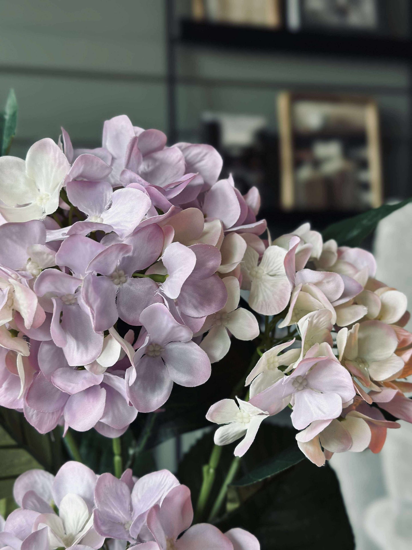 Hortensia i kruka - Syren