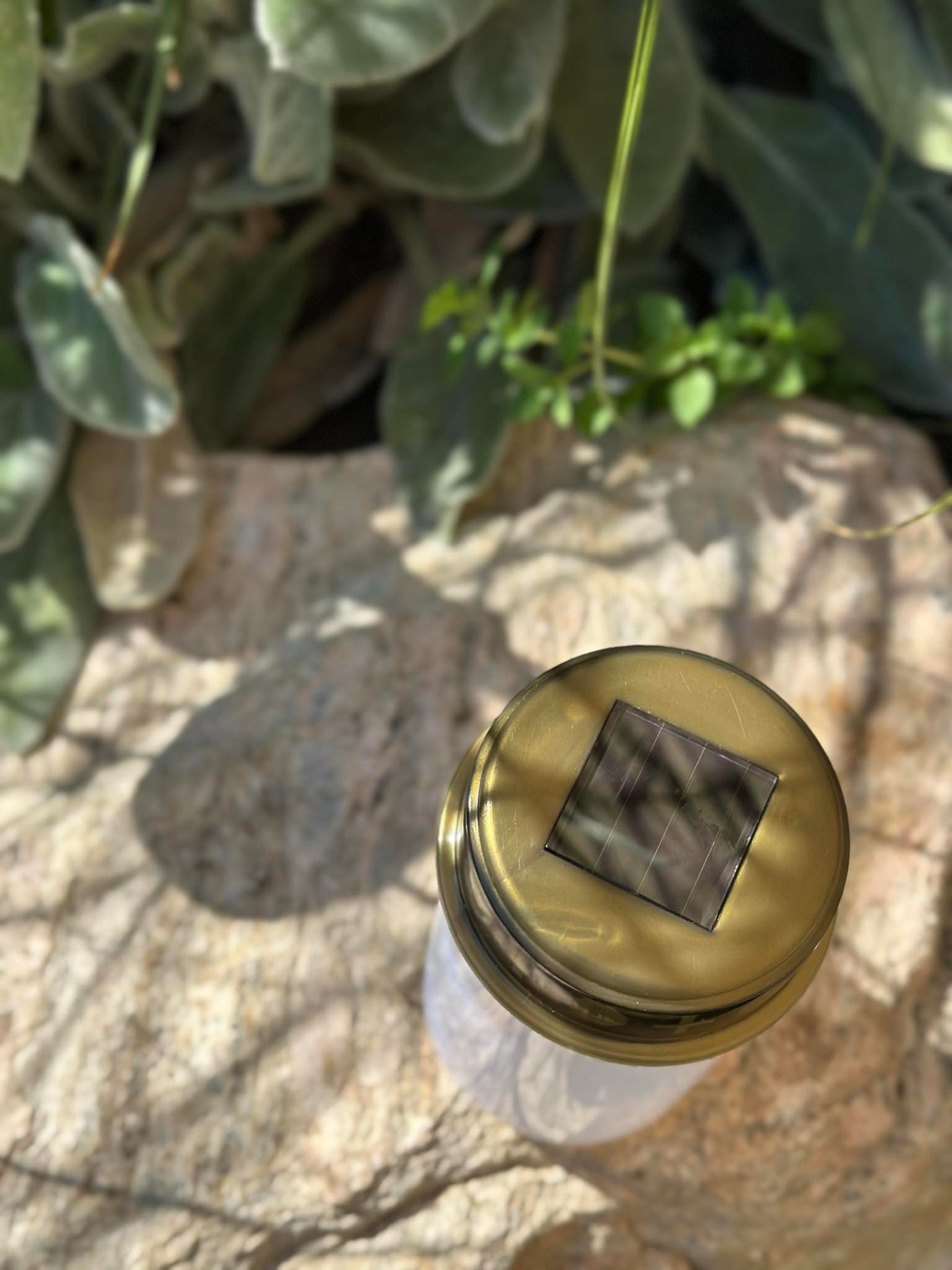 Gravljus med solceller