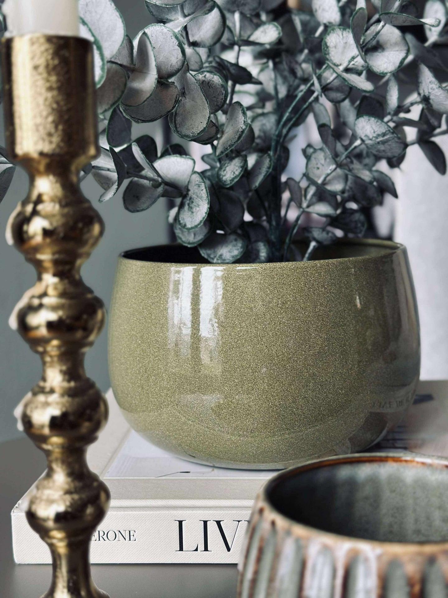 Krukväxt Grön - Flera storlekar