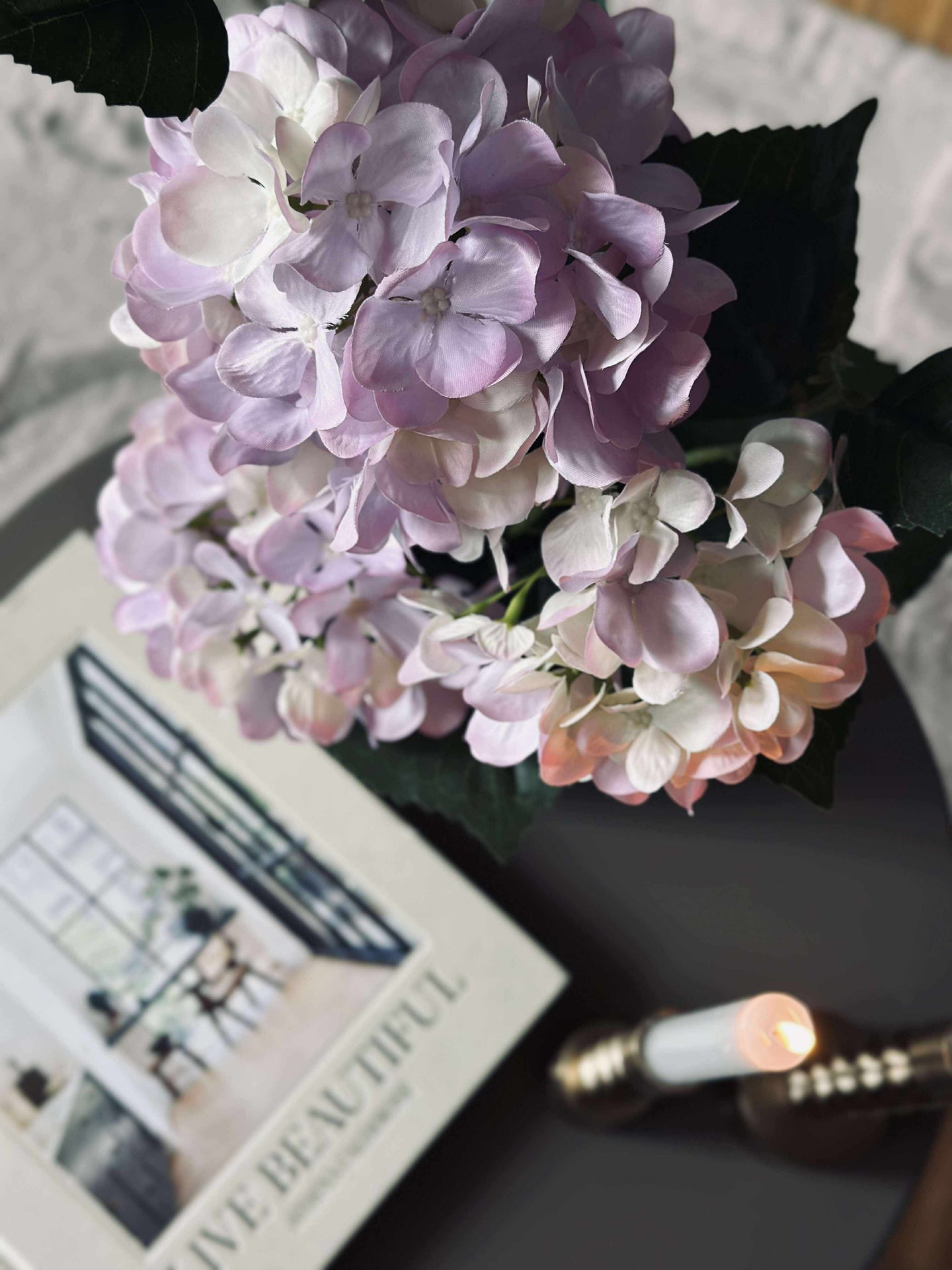 Hortensia i kruka - Syren