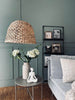 Lampa vattenhyacint - Dia 48