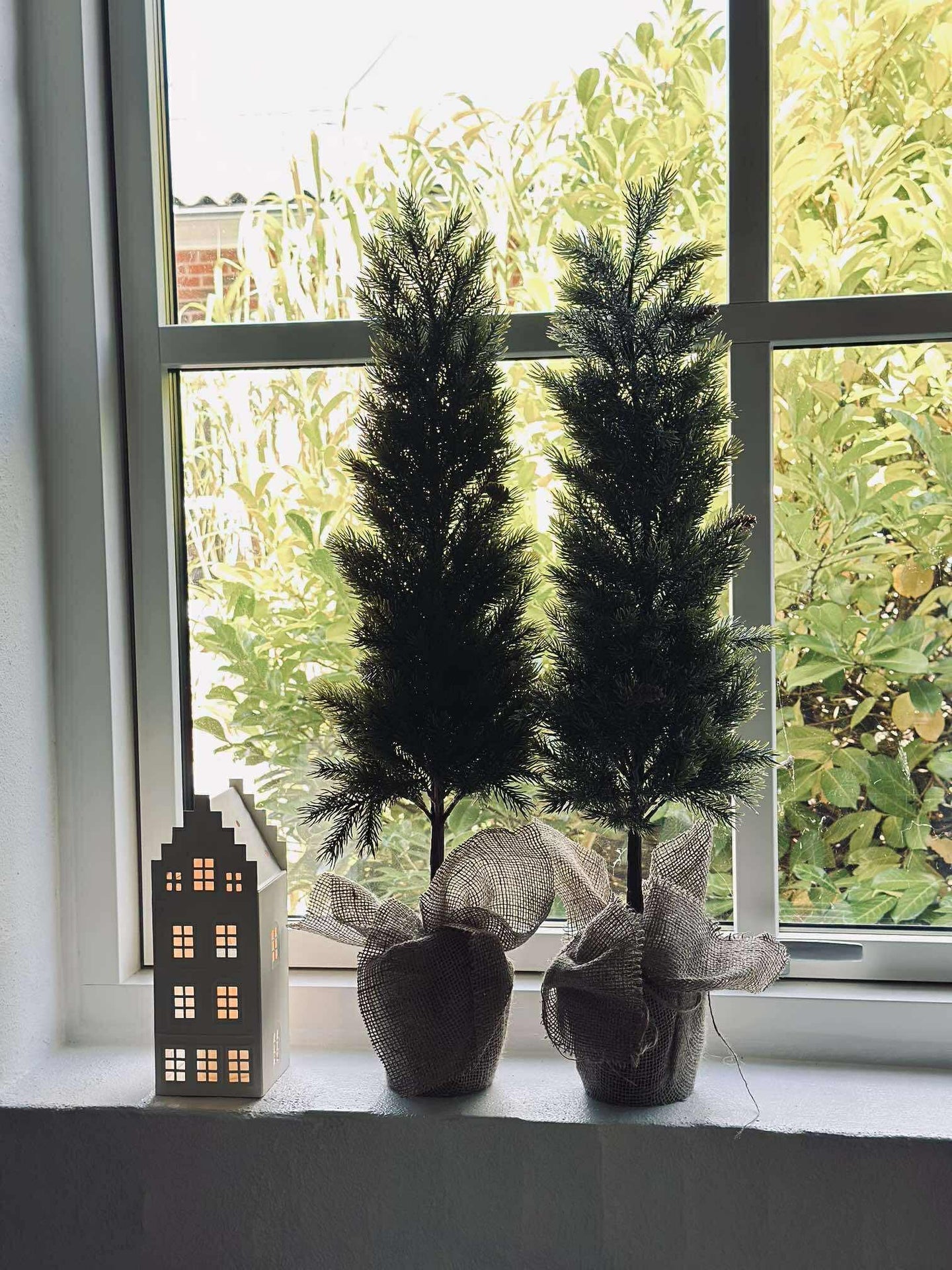 Blandad Tall - 80 cm