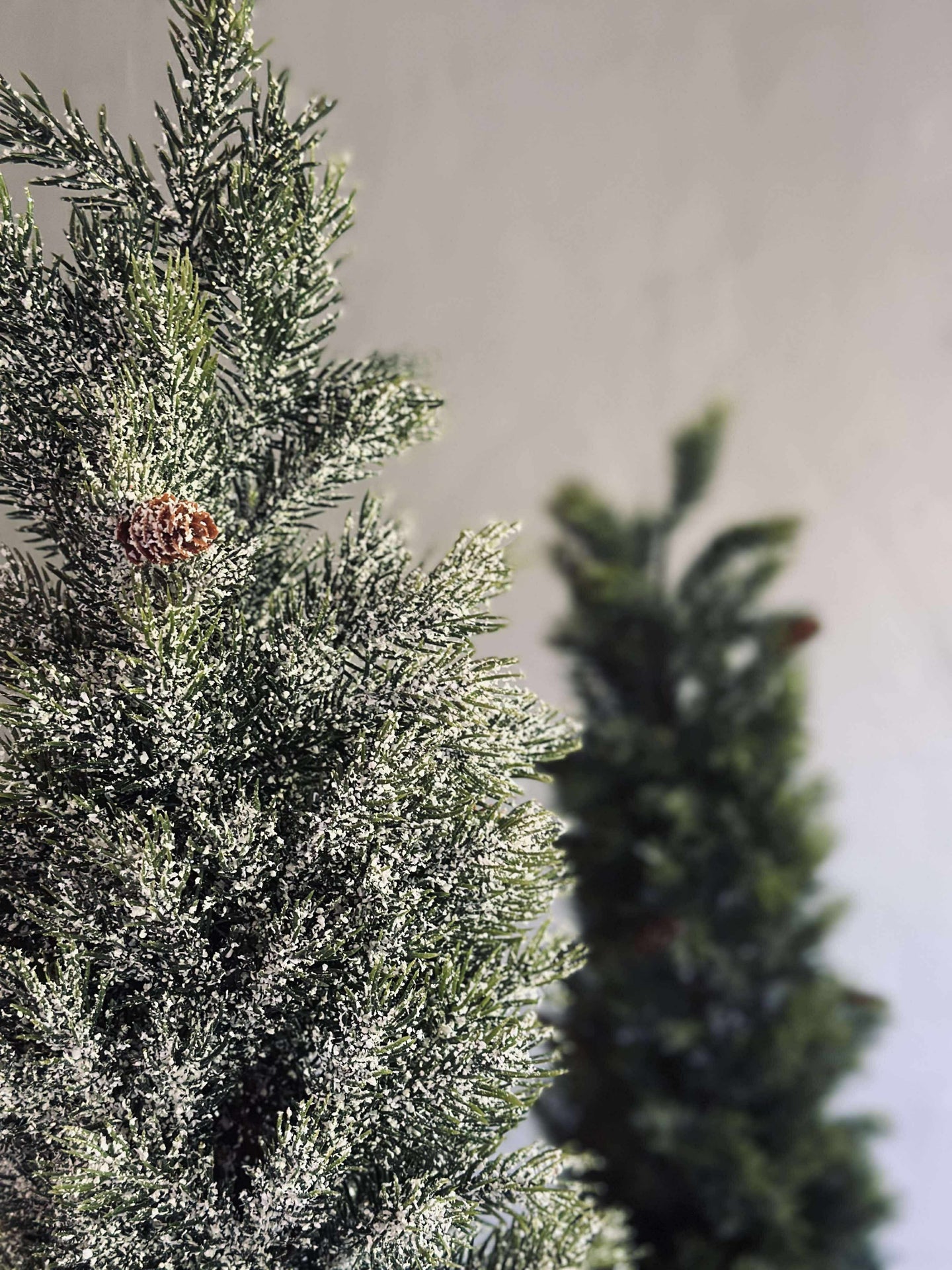 Blandad Tall - 80 cm