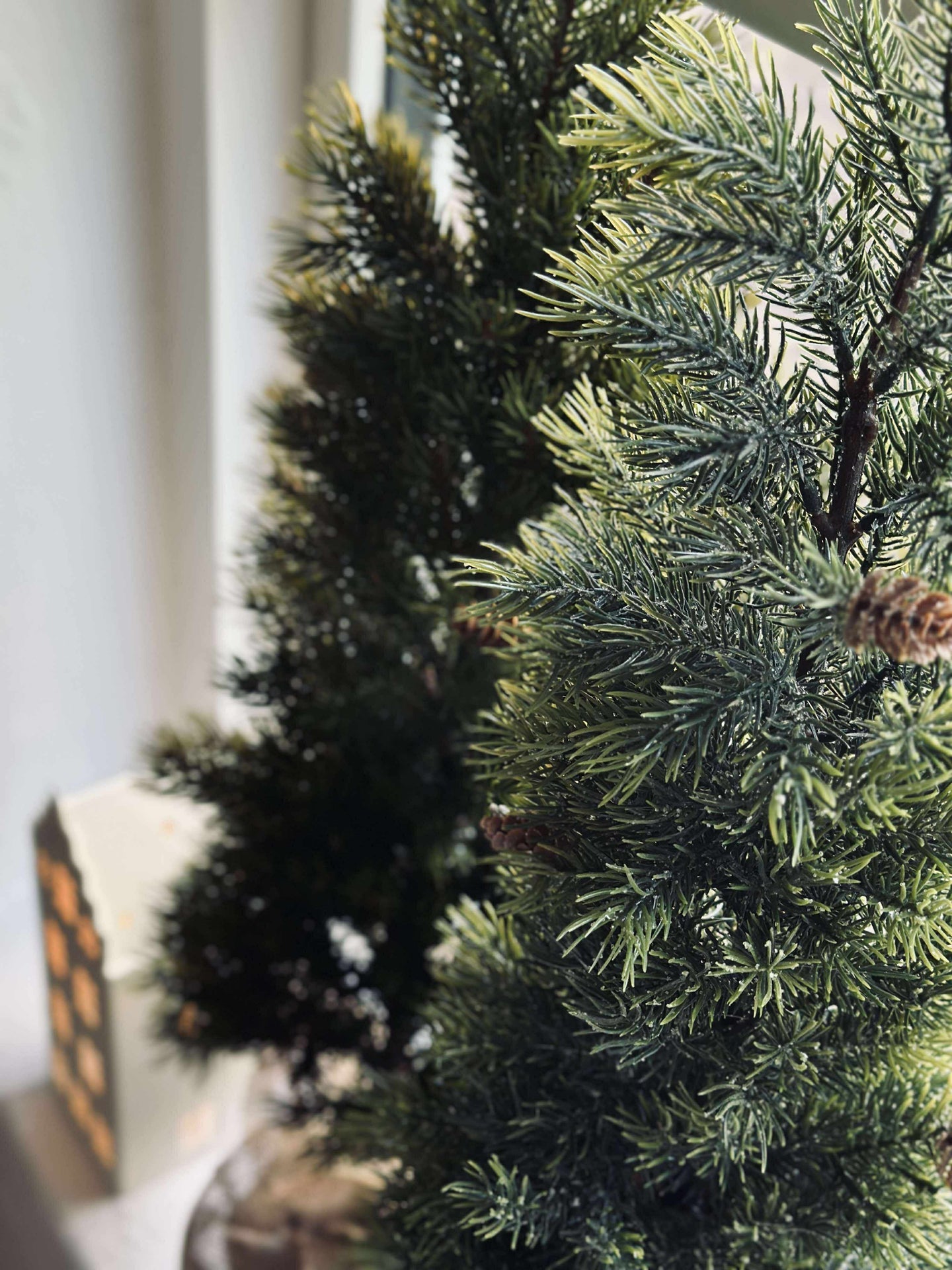 Blandad Tall - 80 cm