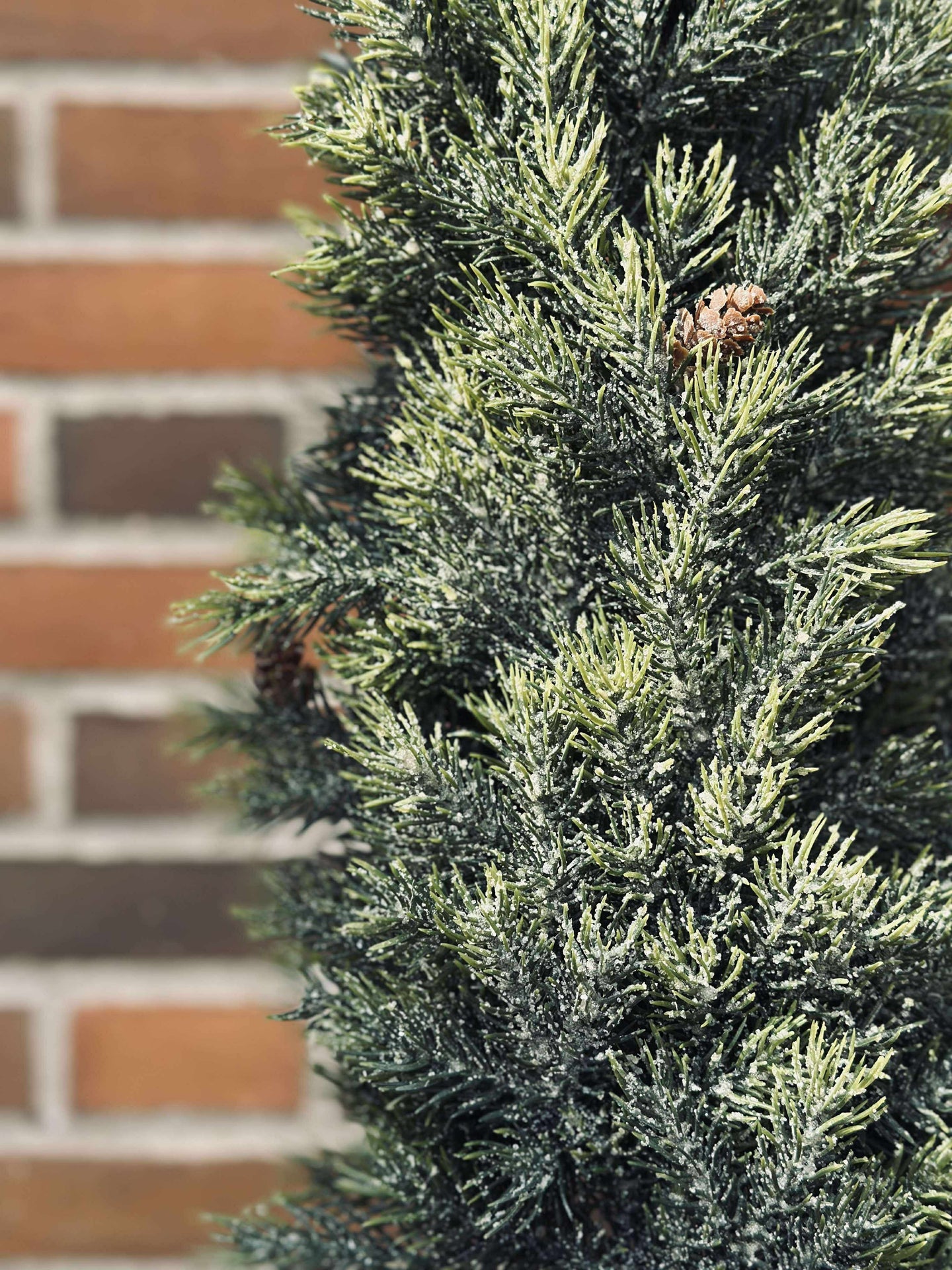 Blandad Tall - 106 cm