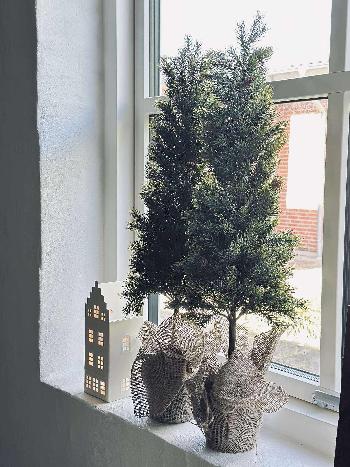 Blandad Tall - 80 cm