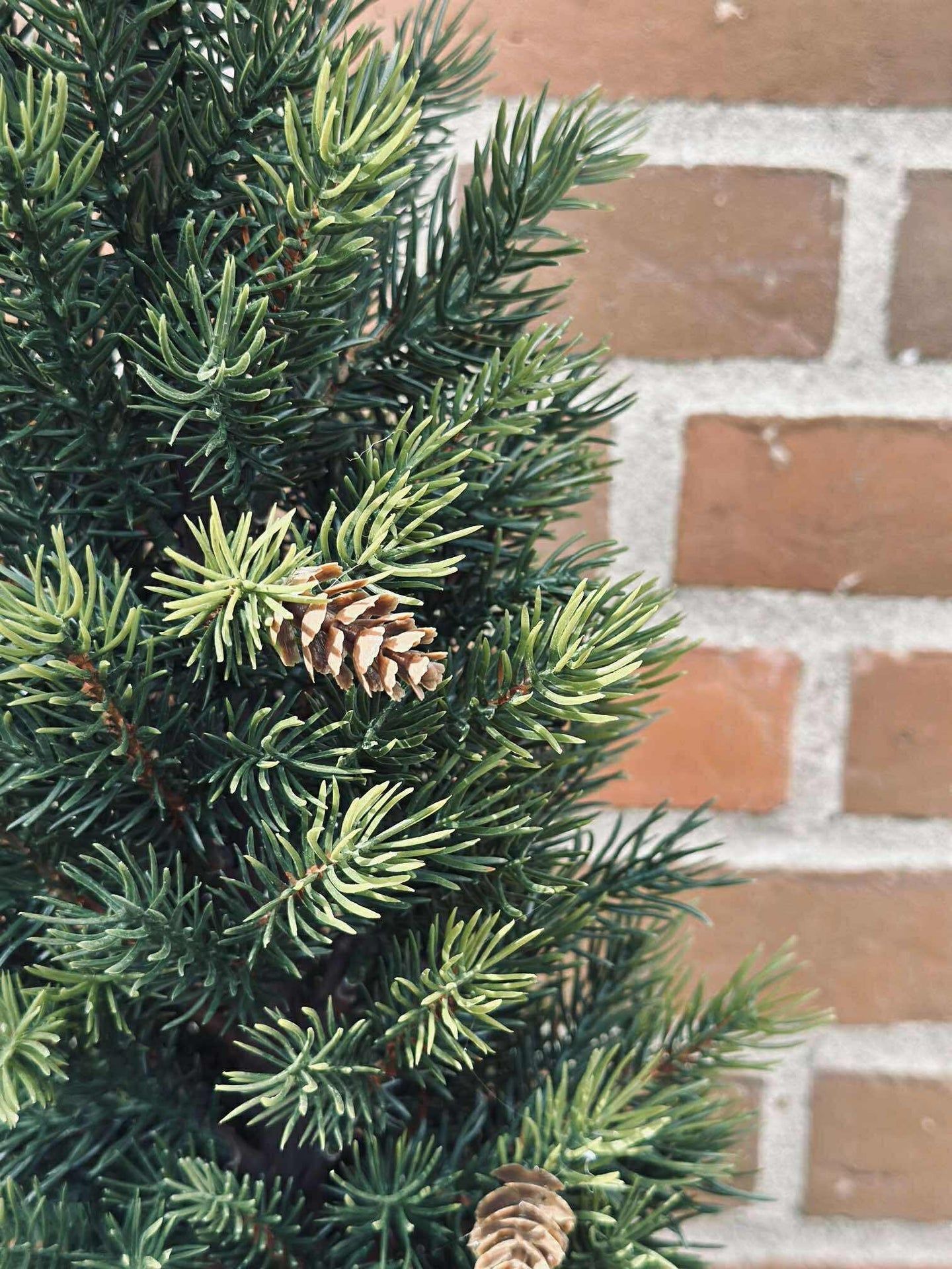 Blandad Tall - 106 cm