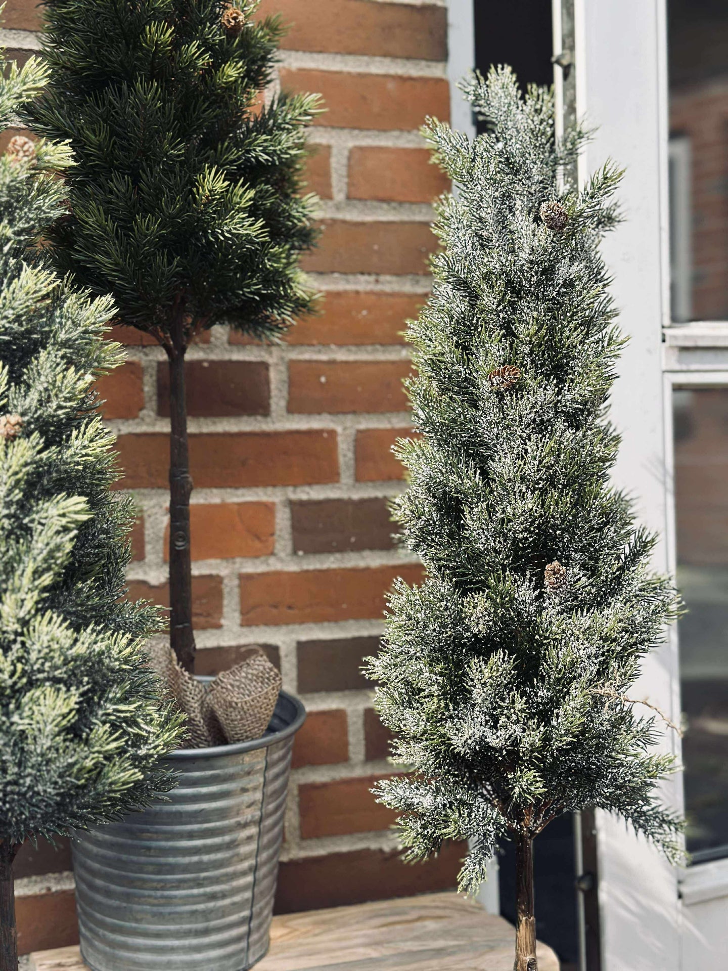 Blandad Tall - 106 cm