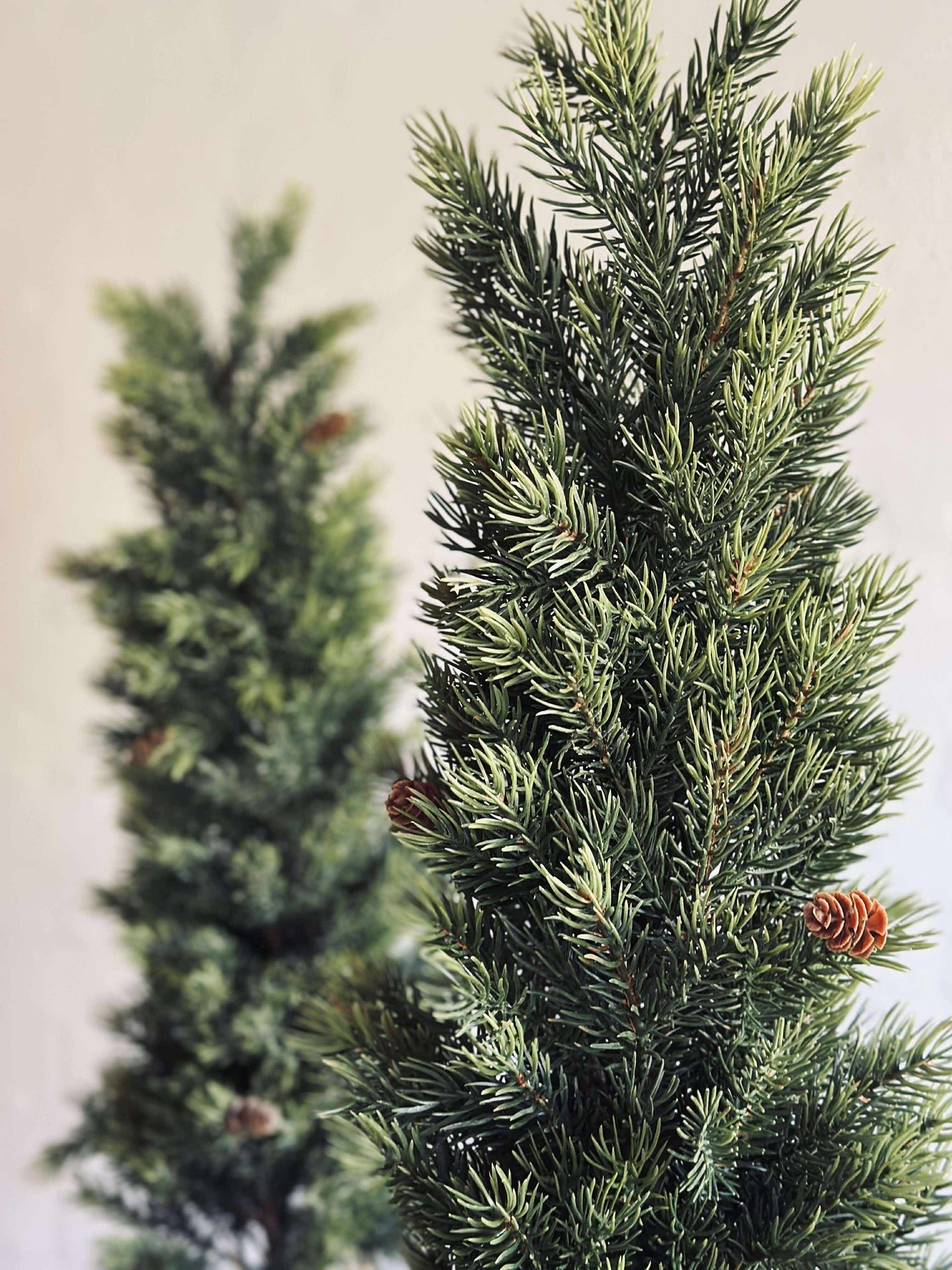 Blandad Tall - 80 cm